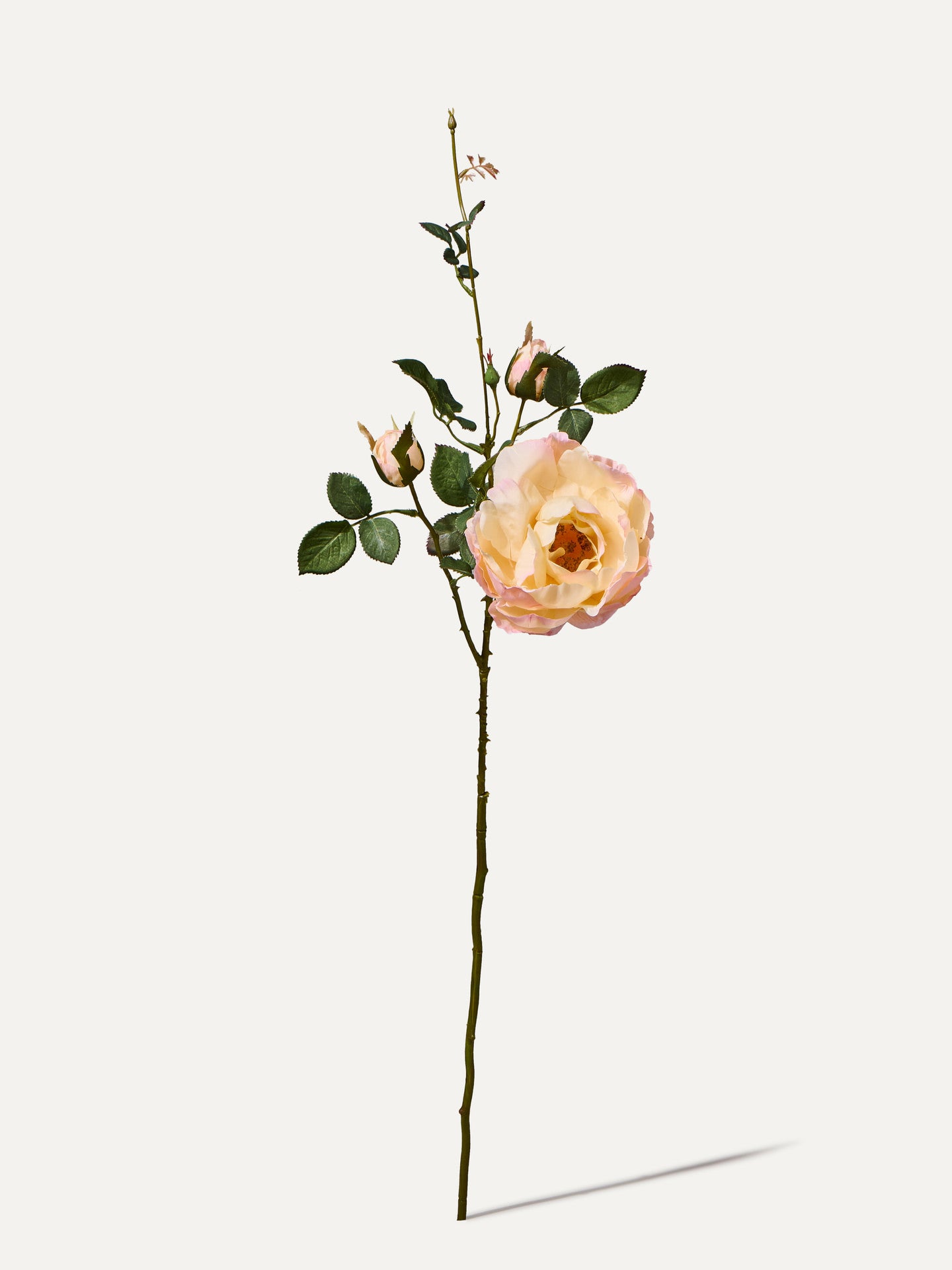 Rose branch 80 cm 1 piece - artificial branch