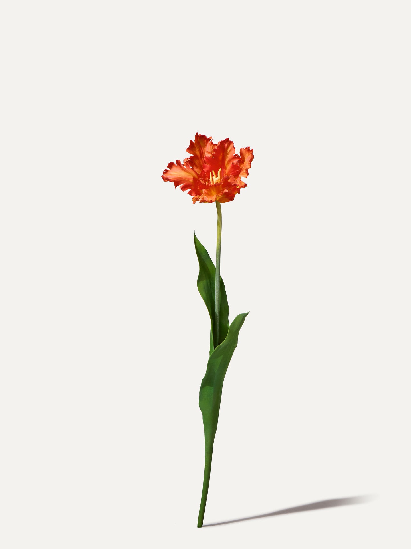 Tulipe perroquet 71 cm 1 pièce - fleur artificielle