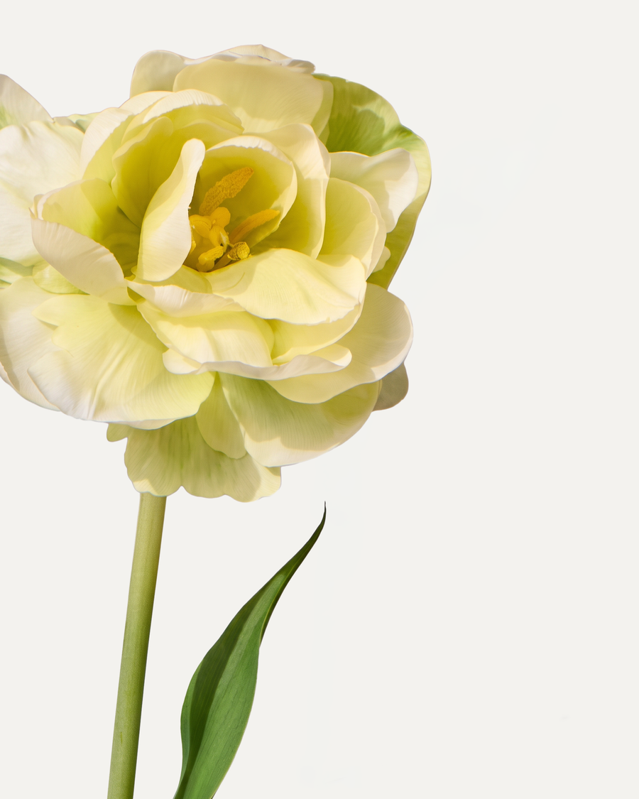 Tulpe 66 cm 1 Stk.- Kunstblume