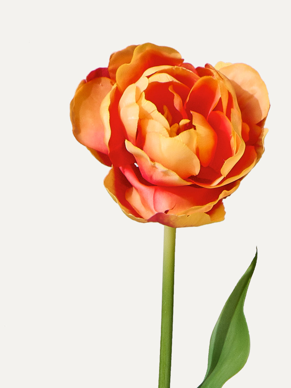 Tulpe 66 cm 1 Stk.- Kunstblume