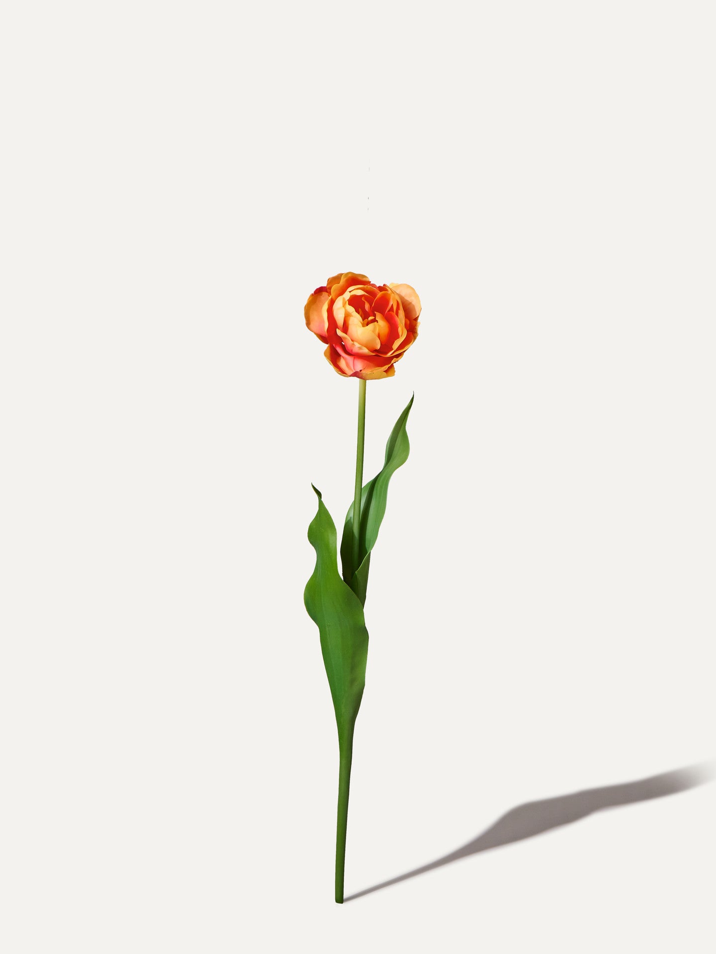 Tulpe 66 cm 1 Stk.- Kunstblume