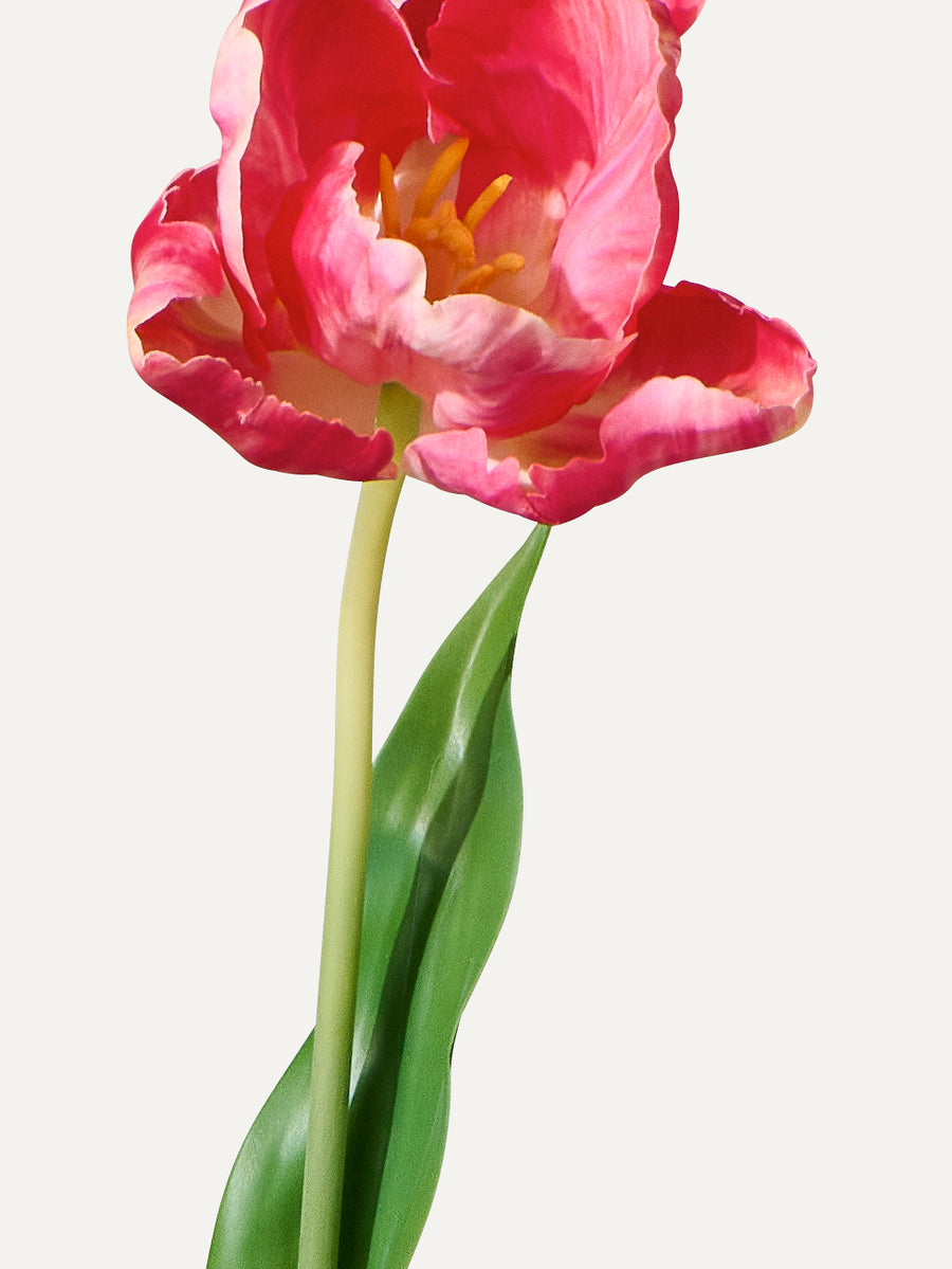 Tulpe 84 cm 1 Stk. - Kunstblume
