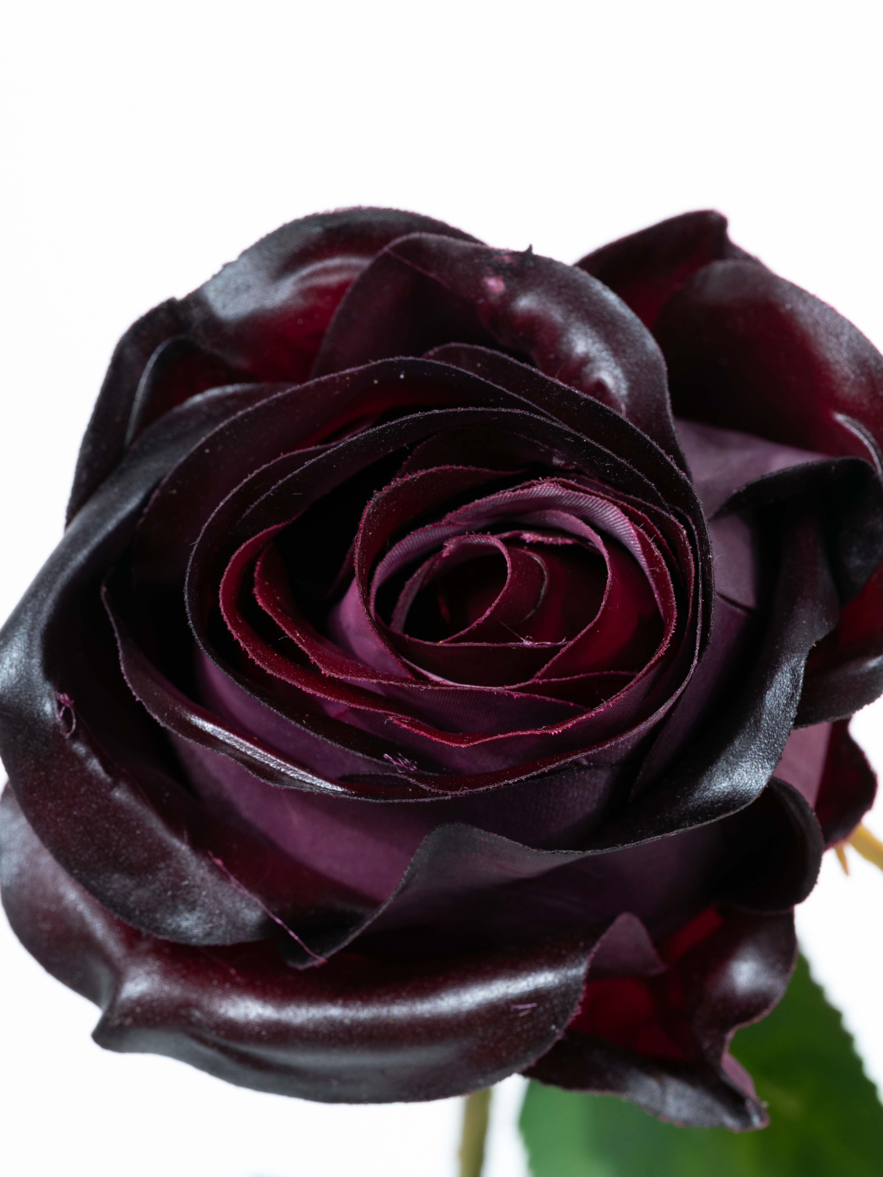 Rose 57 cm 1 Stk. - Kunstblume