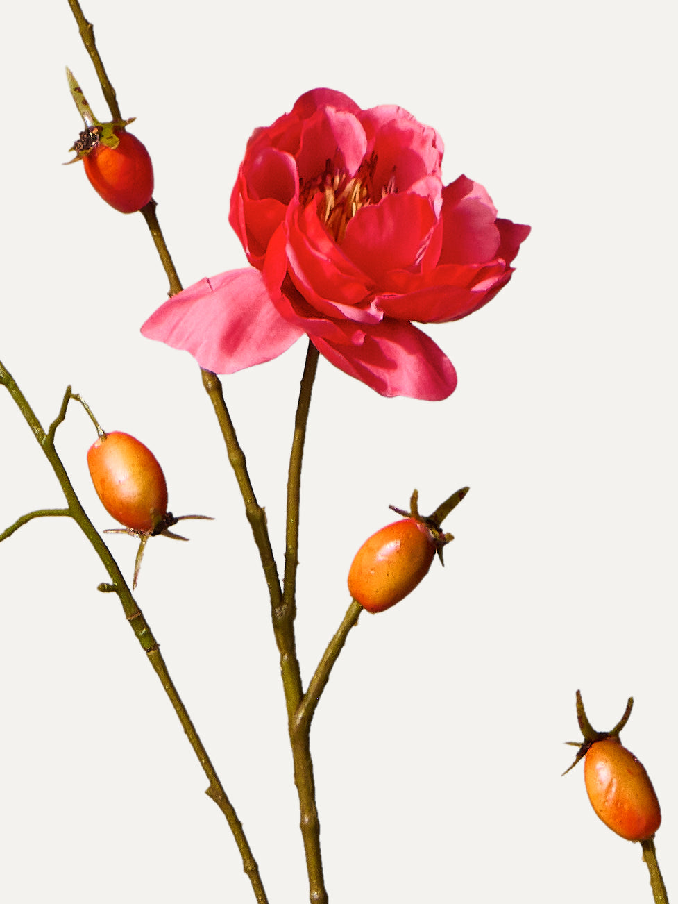 Rosehip branch 106 cm 1 pc. - Artificial branch