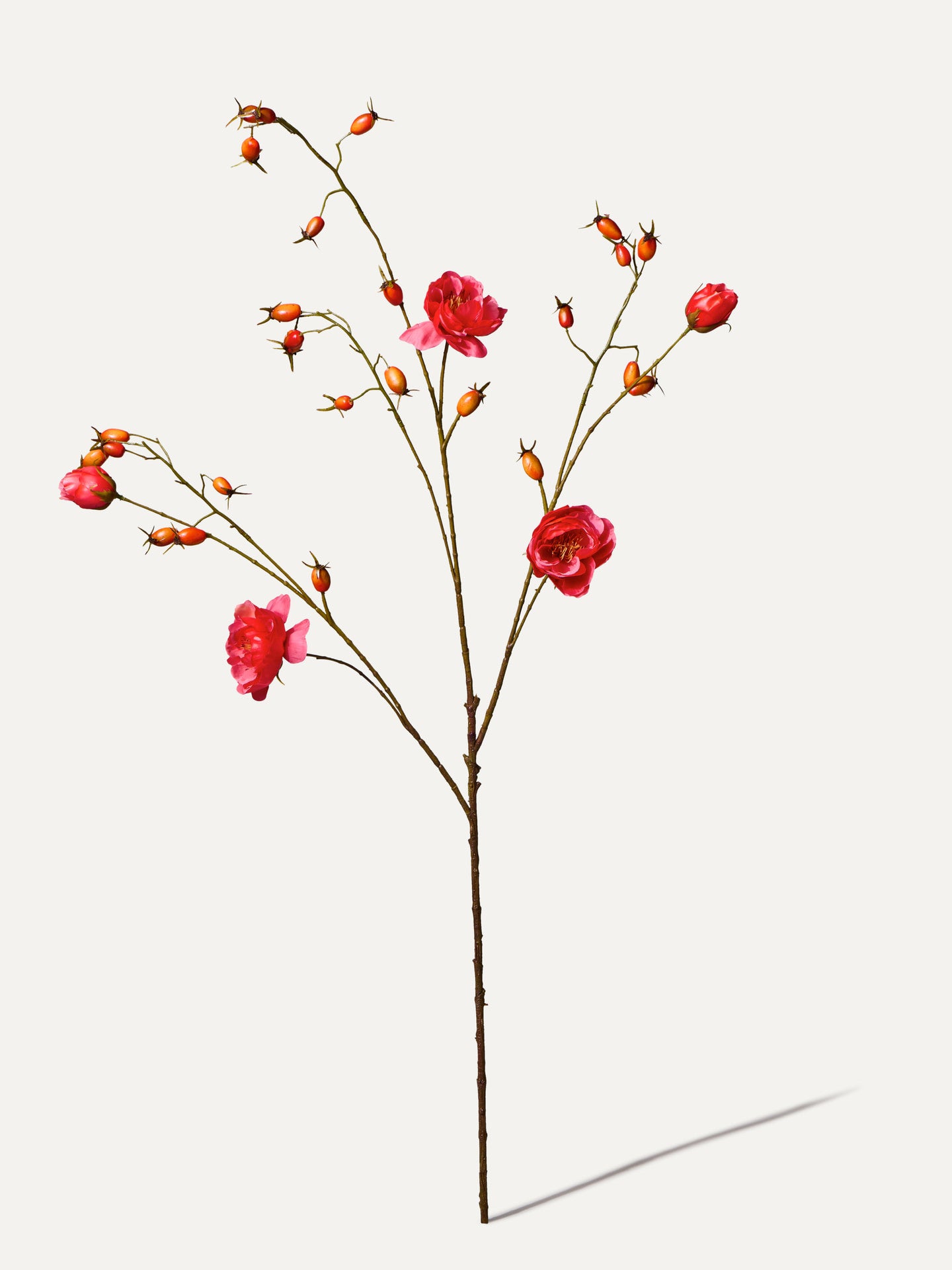 Rosehip branch 106 cm 1 pc. - Artificial branch
