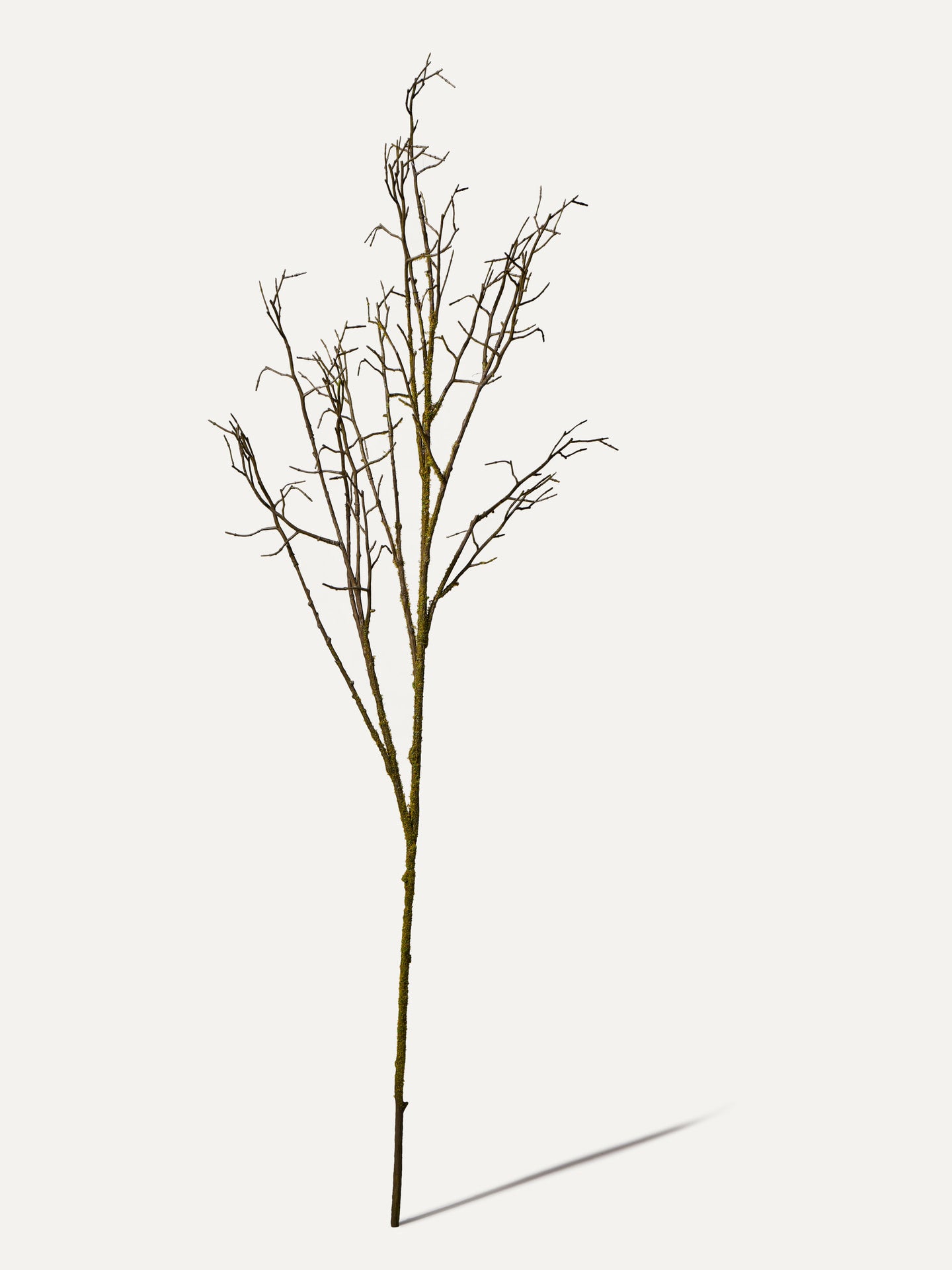 Holz Ast Zweig 107 cm