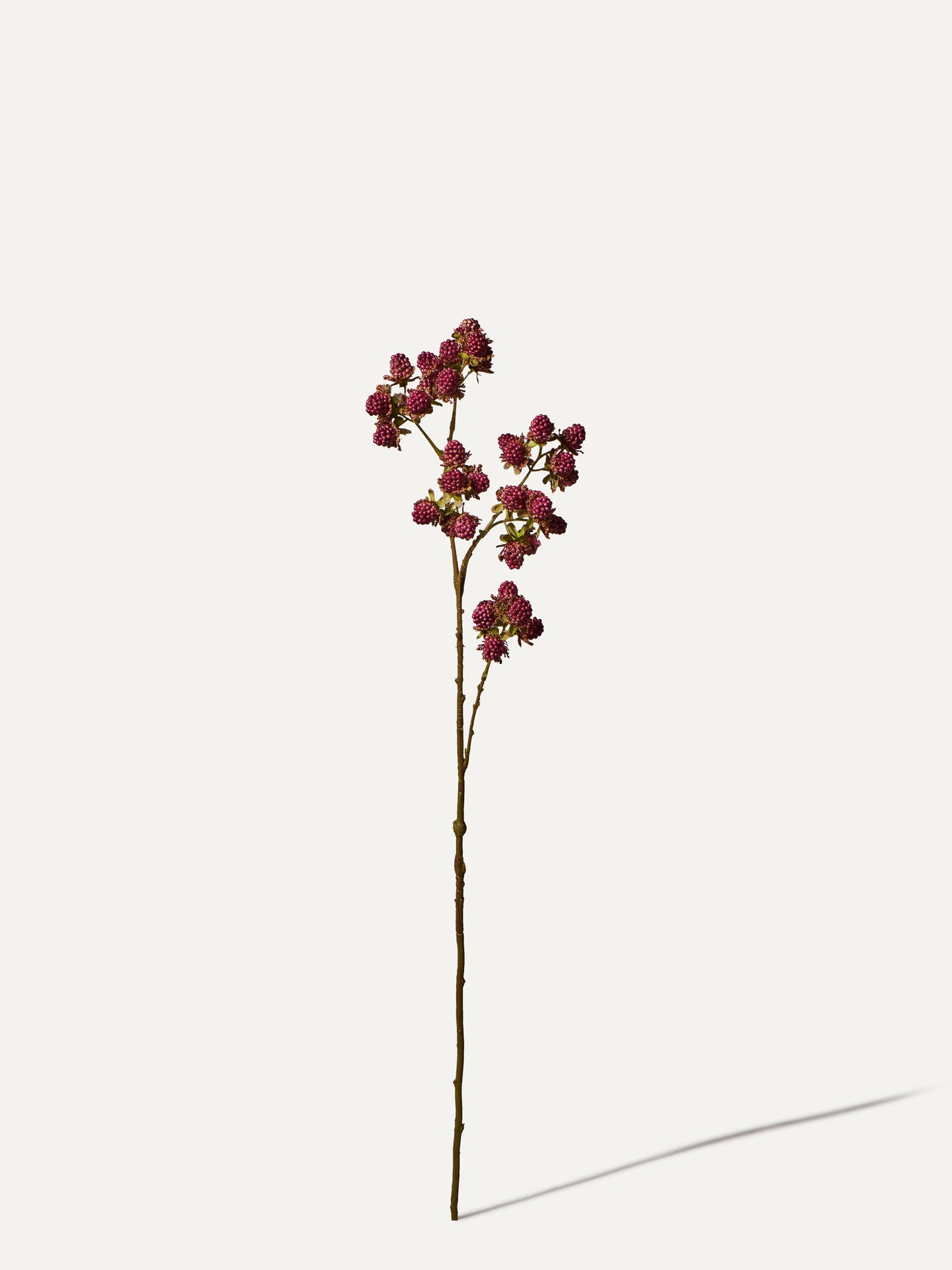 Brombeeren Zweig 78 cm