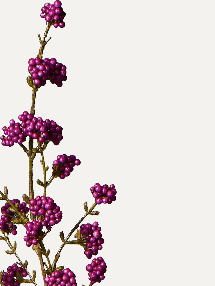 Callicarpa-Zweig 120 cm 1 Stk. - Kunstzweig