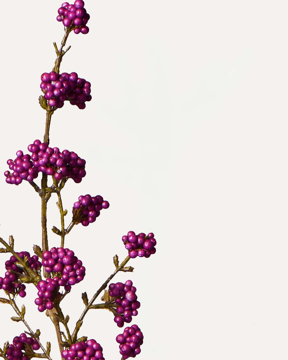 Callicarpa-Zweig 120 cm 1 Stk. - Kunstzweig