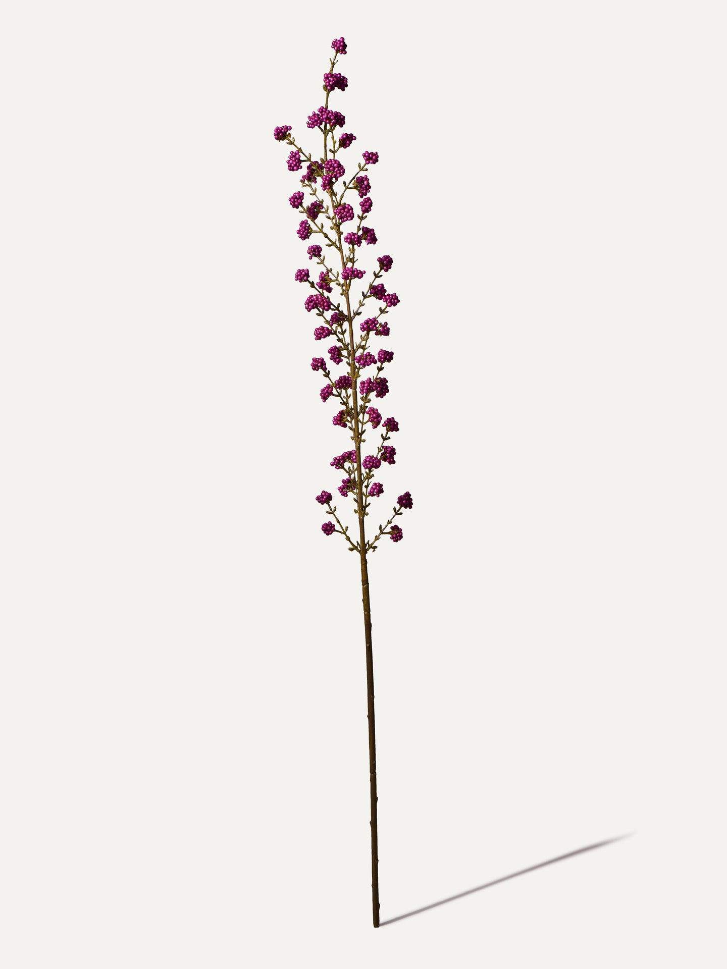 Callicarpa Zweig 120 cm