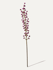 Callicarpa Zweig 120 cm