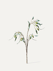 Eucalyptus branch 86 cm - artificial branch