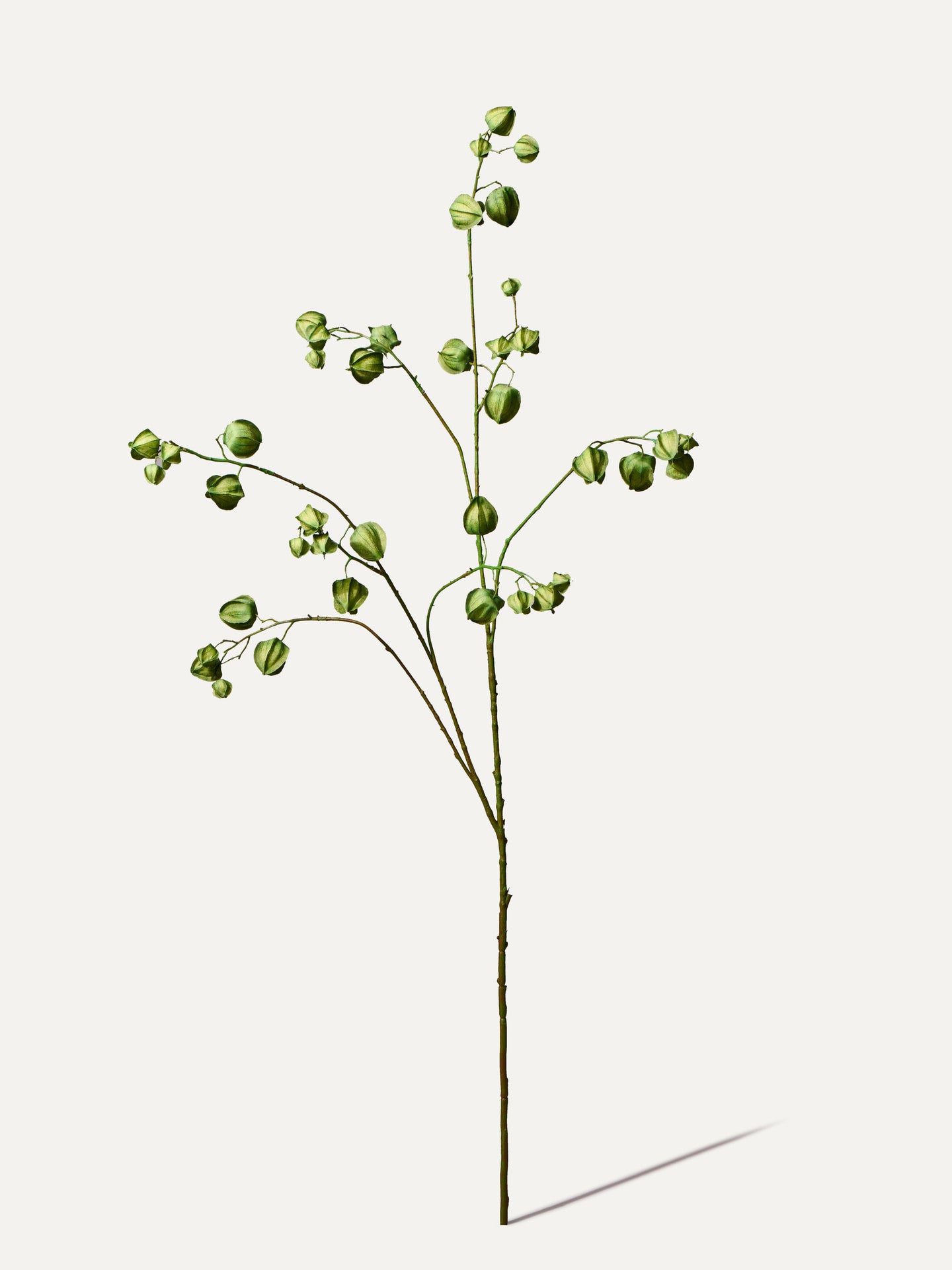 Lampionblumen Zweig 123 cm