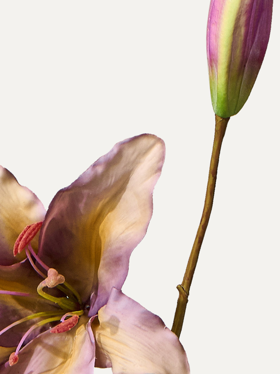 Lily 80 cm 1 pc. - Artificial flower