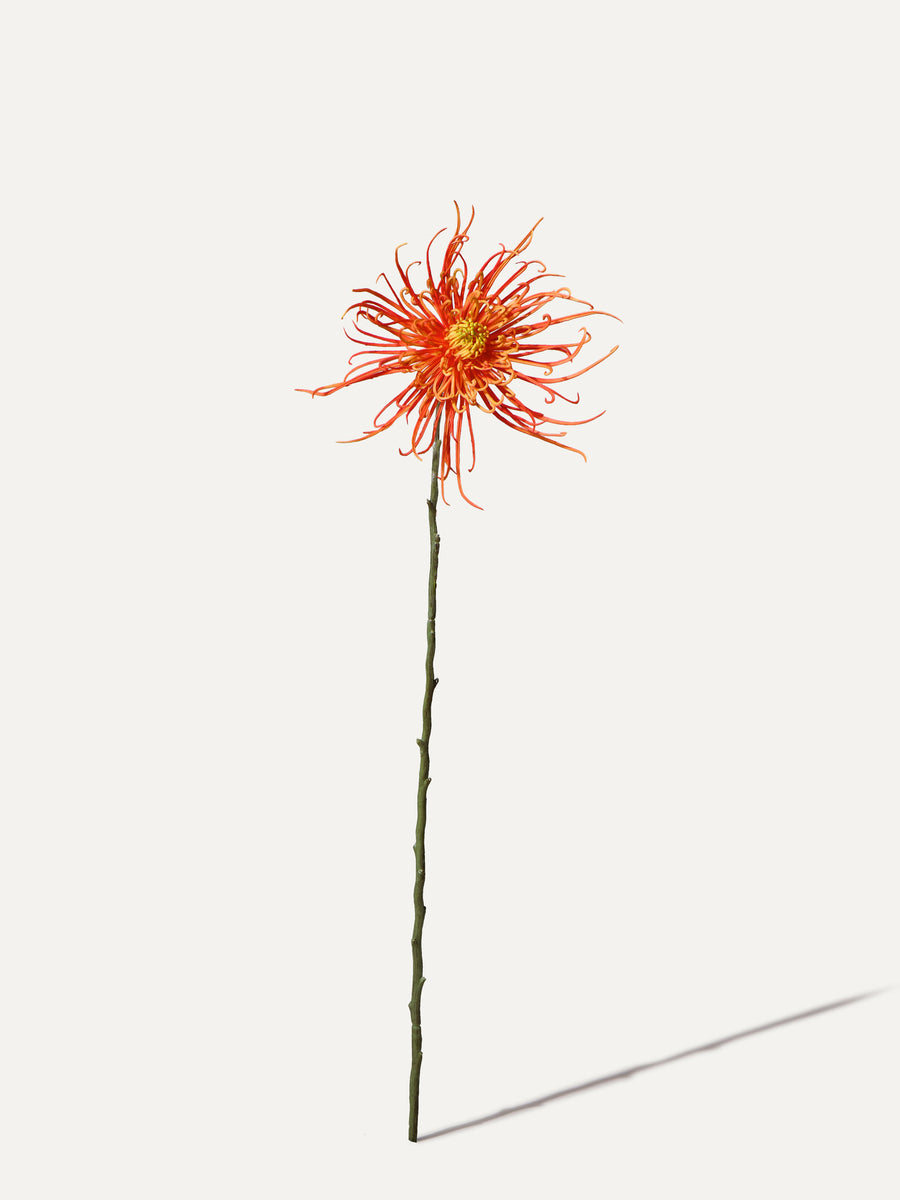 Spider-Chrysantheme 71 cm 1 Stk. - Kunstblume