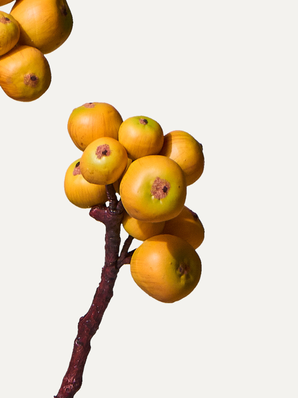 Branche de pommier 67 cm 1 pièce - branche artificielle