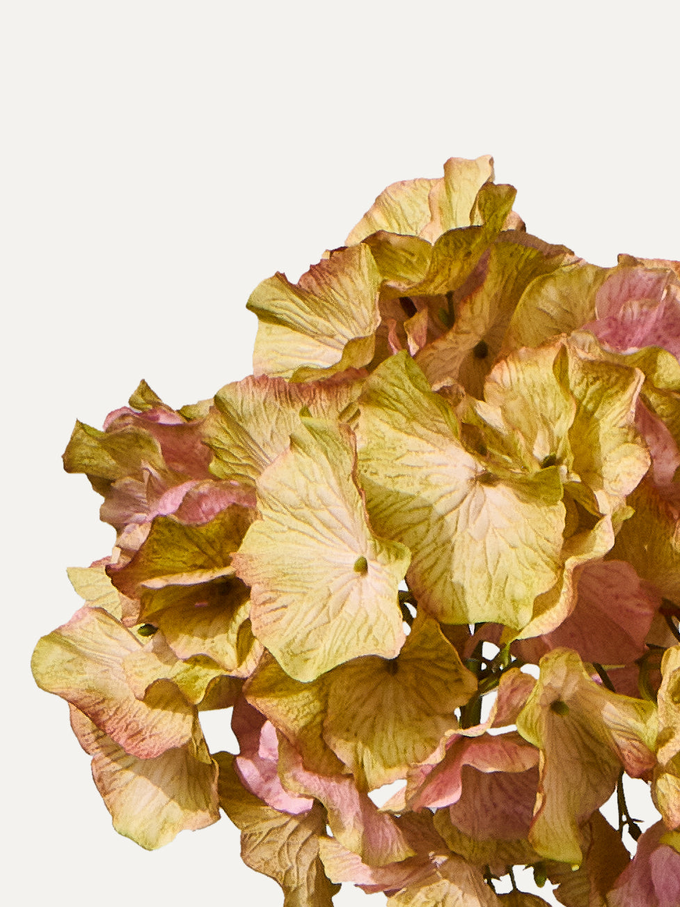 Hortensia 72 cm 1 pièce - Fleur artificielle
