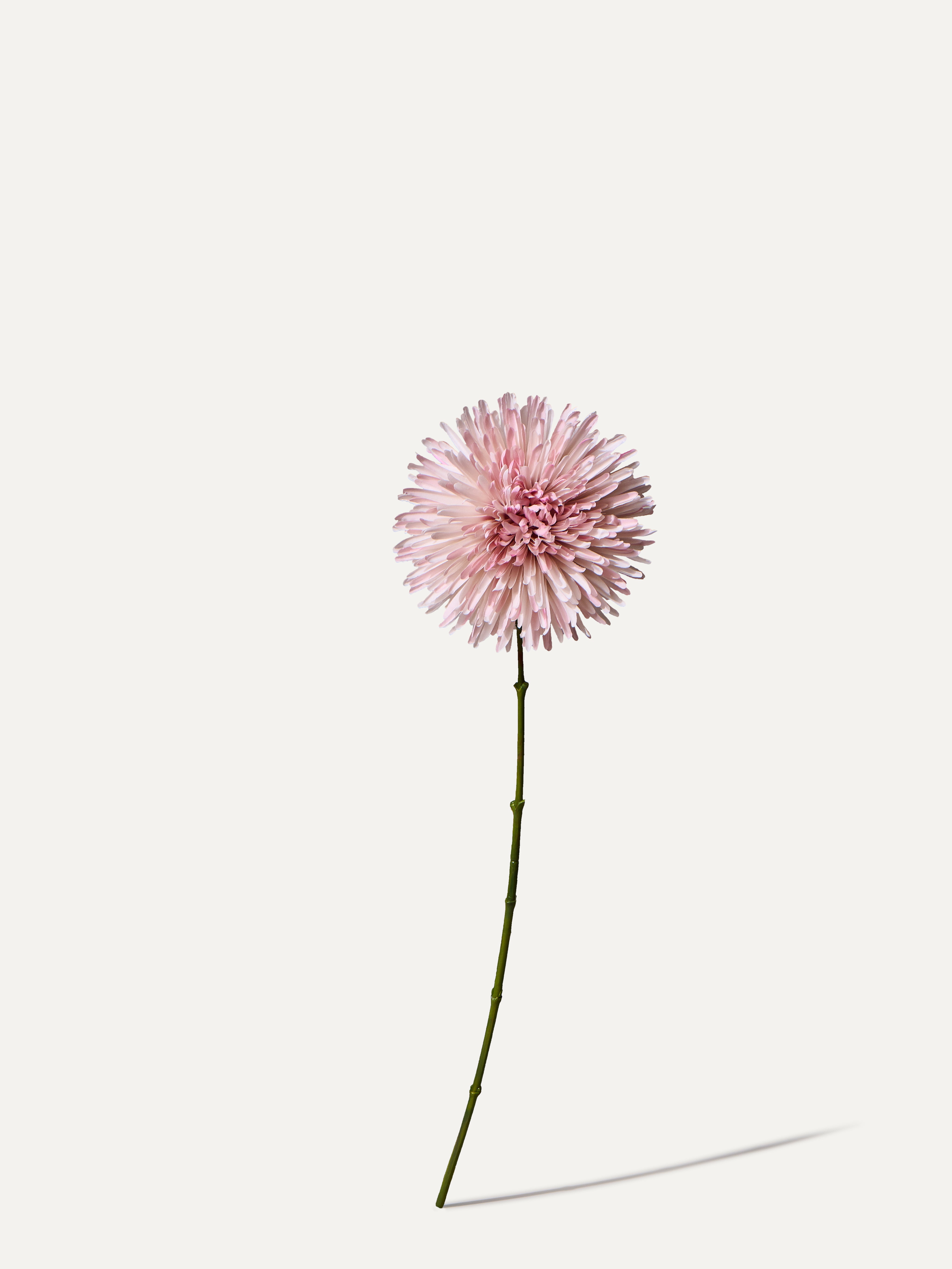 Chrysanthème 60 cm (1 pièce) - fleur artificielle
