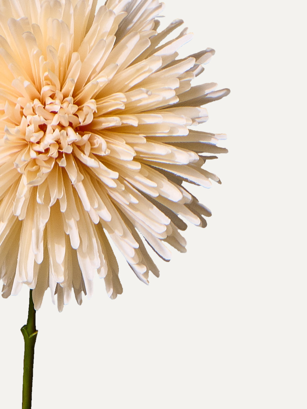 Chrysanthème 60 cm (1 pièce) - fleur artificielle