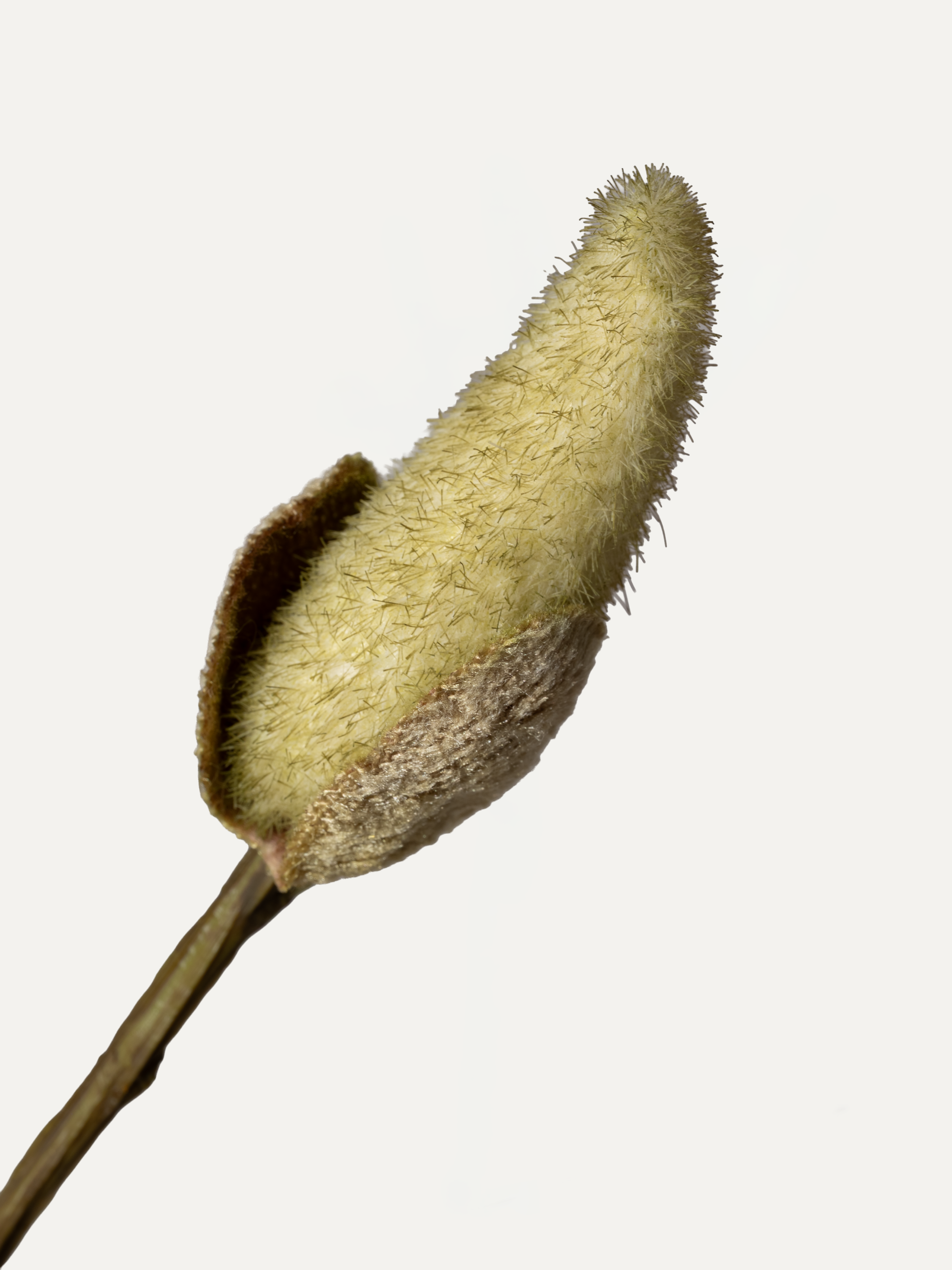 Branche de magnolia 122 cm, 1 pièce - branche artificielle 