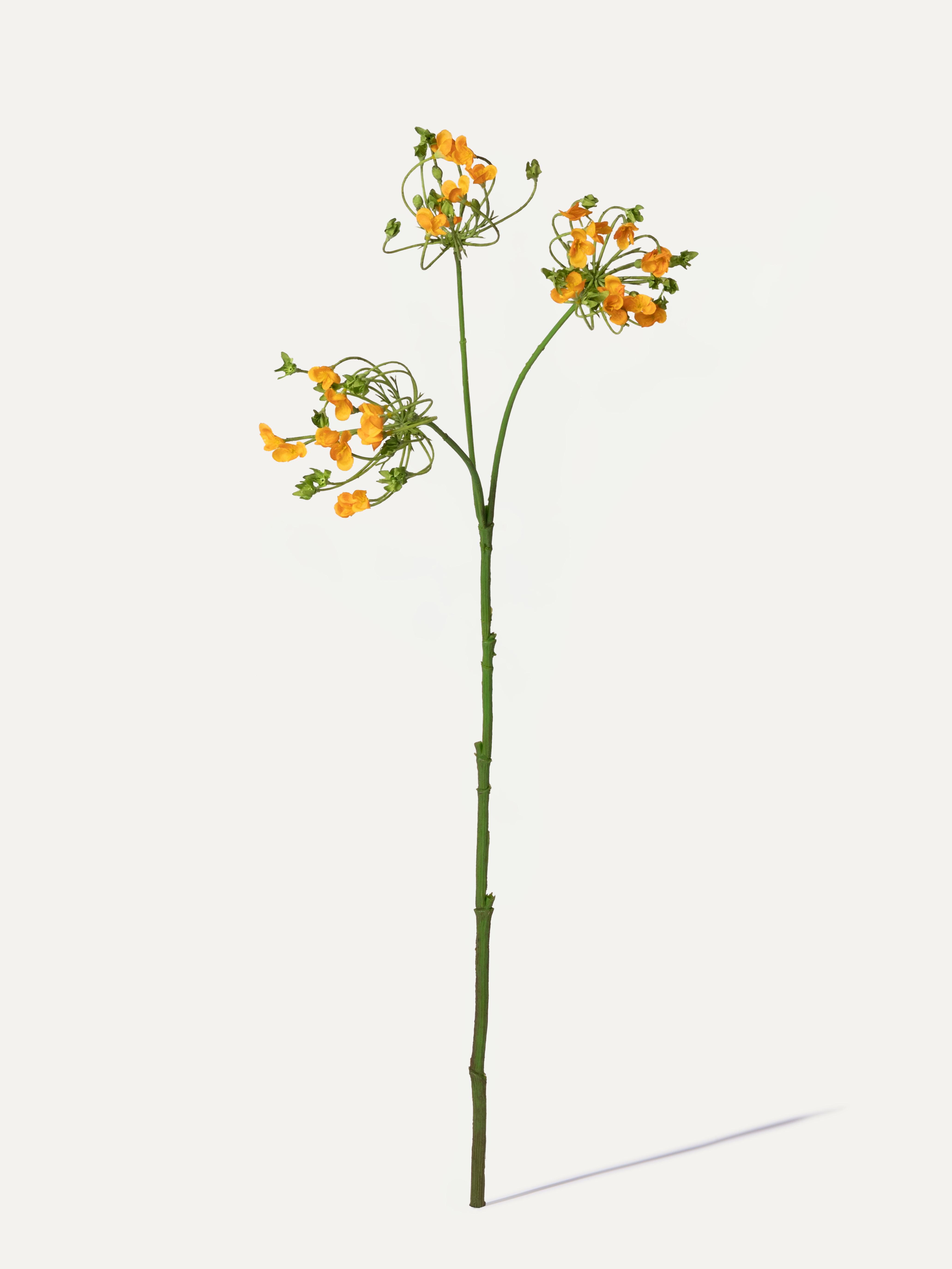 Dill sprig with blossoms 83 cm 1 pc. - artificial sprig
