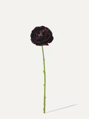 Ranunculus 55 cm 1 pc. - Artificial Flower