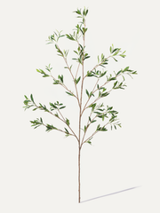 Branche d'olivier 156 cm 1 pce - Branche artificielle