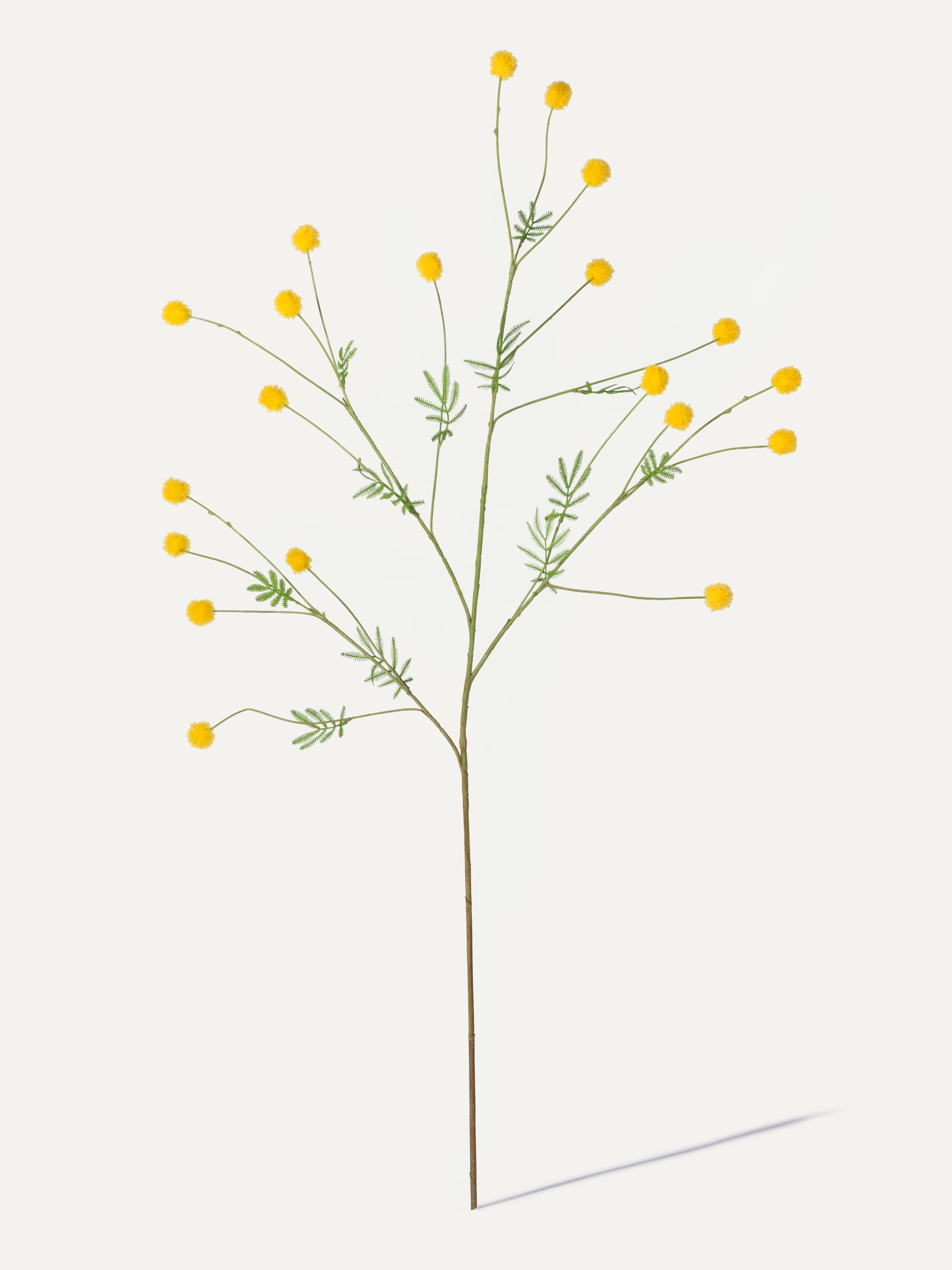 Mimosa branch 106 cm 1 pc. - Artificial branch