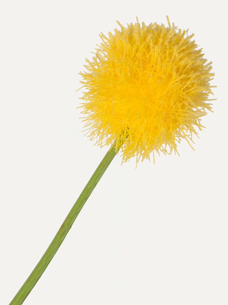 Mimosa branch 106 cm 1 pc. - Artificial branch
