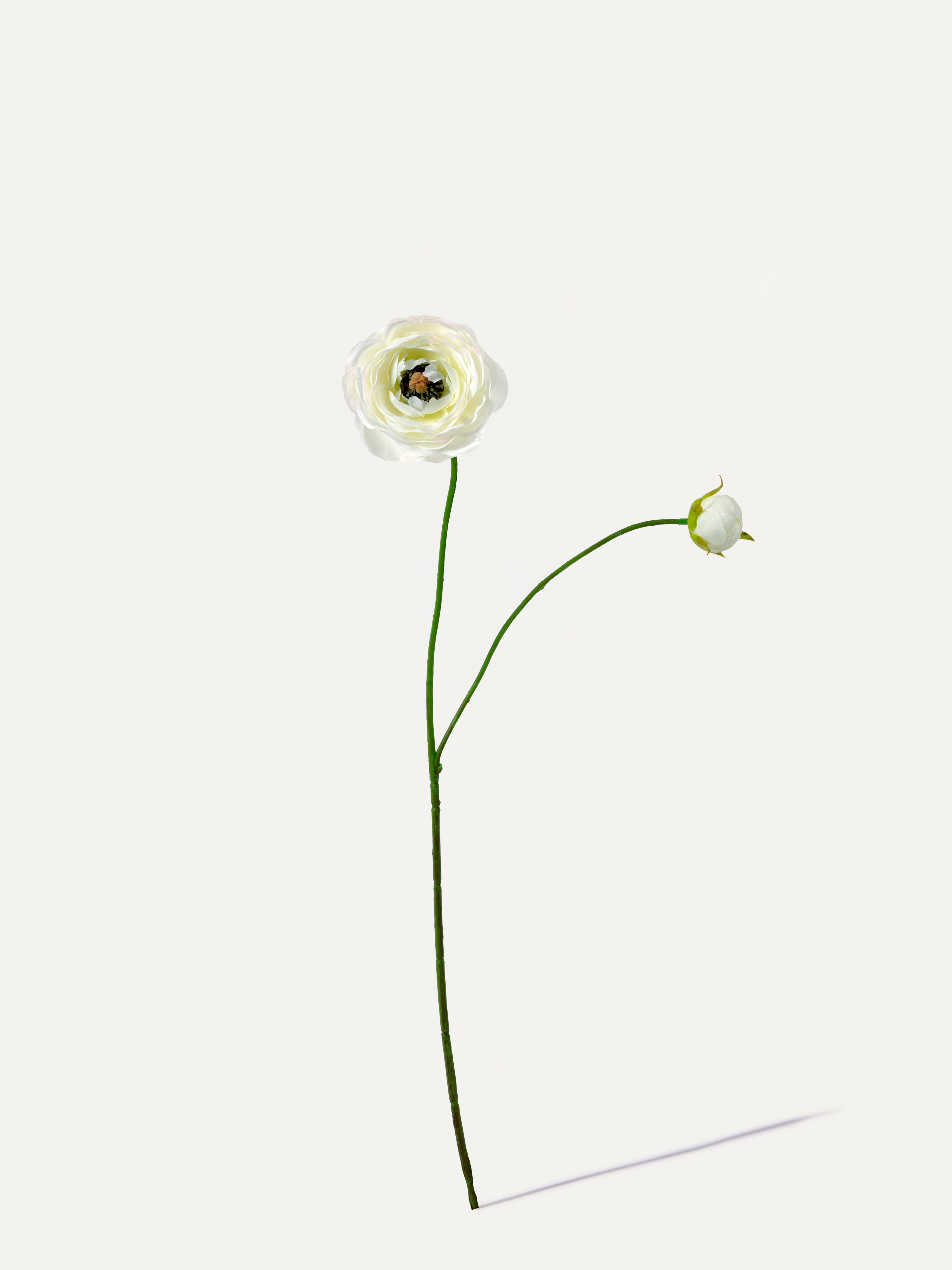 Ranunkel 64 cm 1 Stk. - Kunstblume