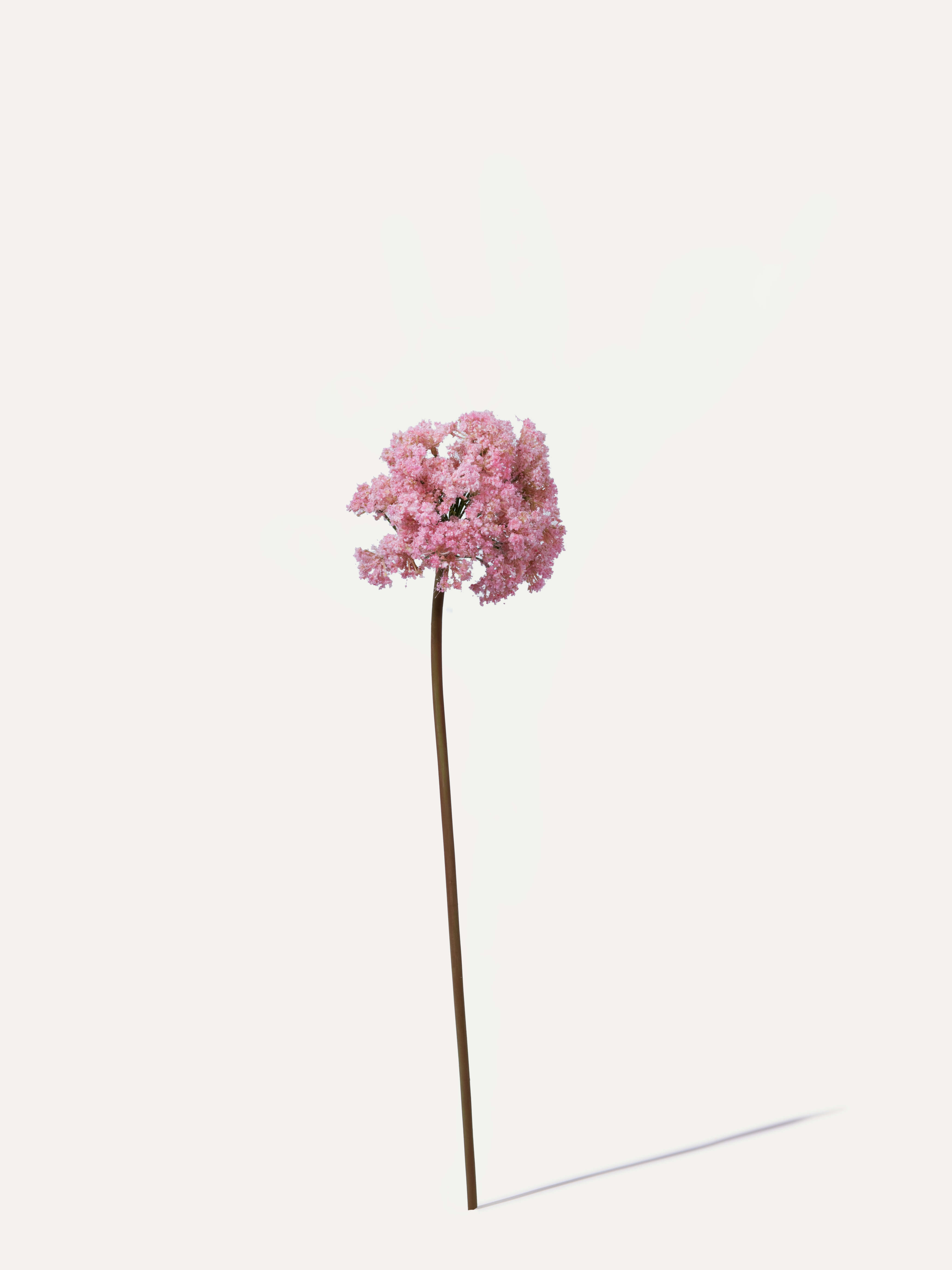 Dillzweig 74 cm 1 Stk. - Kunstzweig
