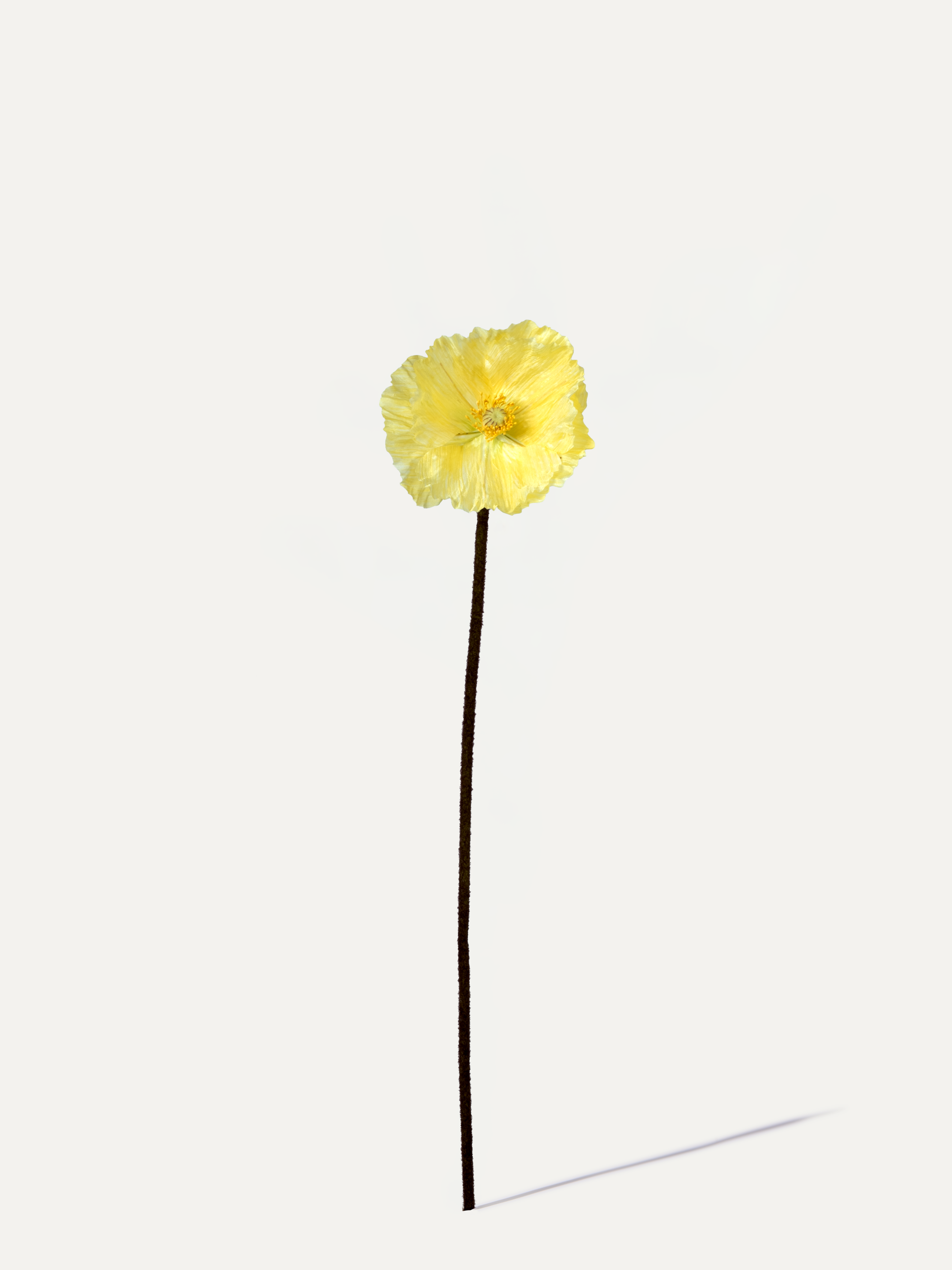 Mohnblume 63 cm 1 Stk. - Kunstblume