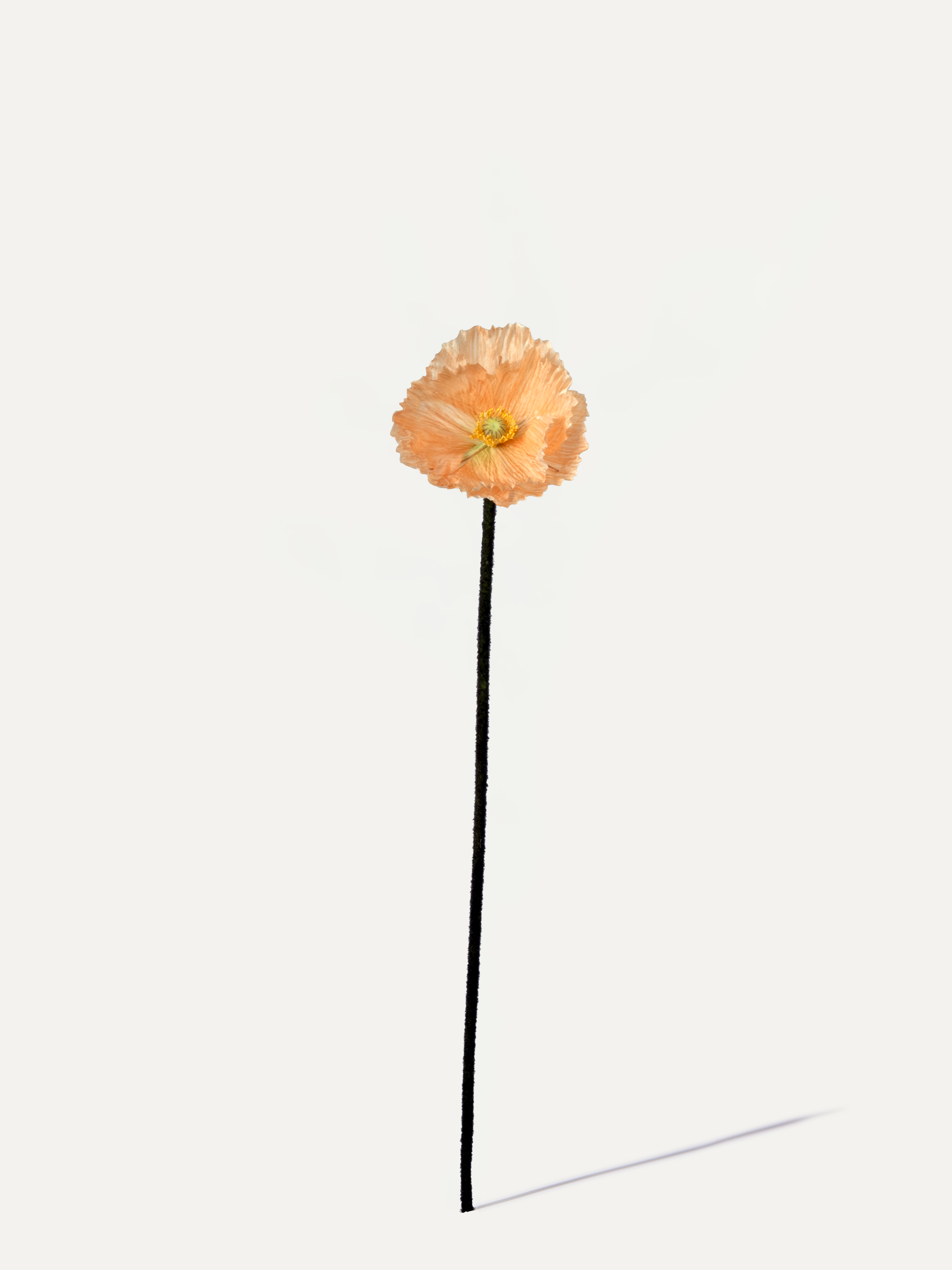 Mohnblume 63 cm 1 Stk. - Kunstblume