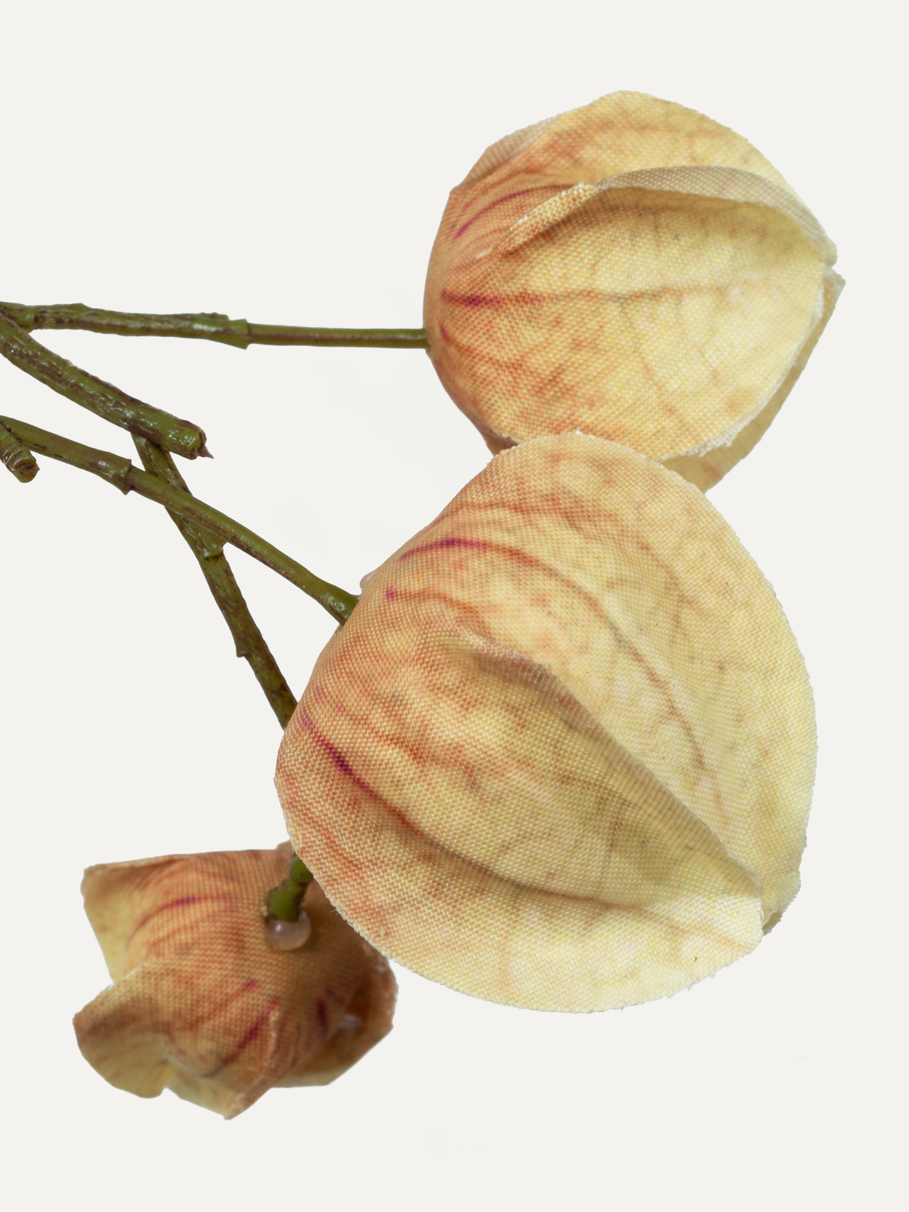 Physalis branch 125 cm 1 pc. - Artificial branch