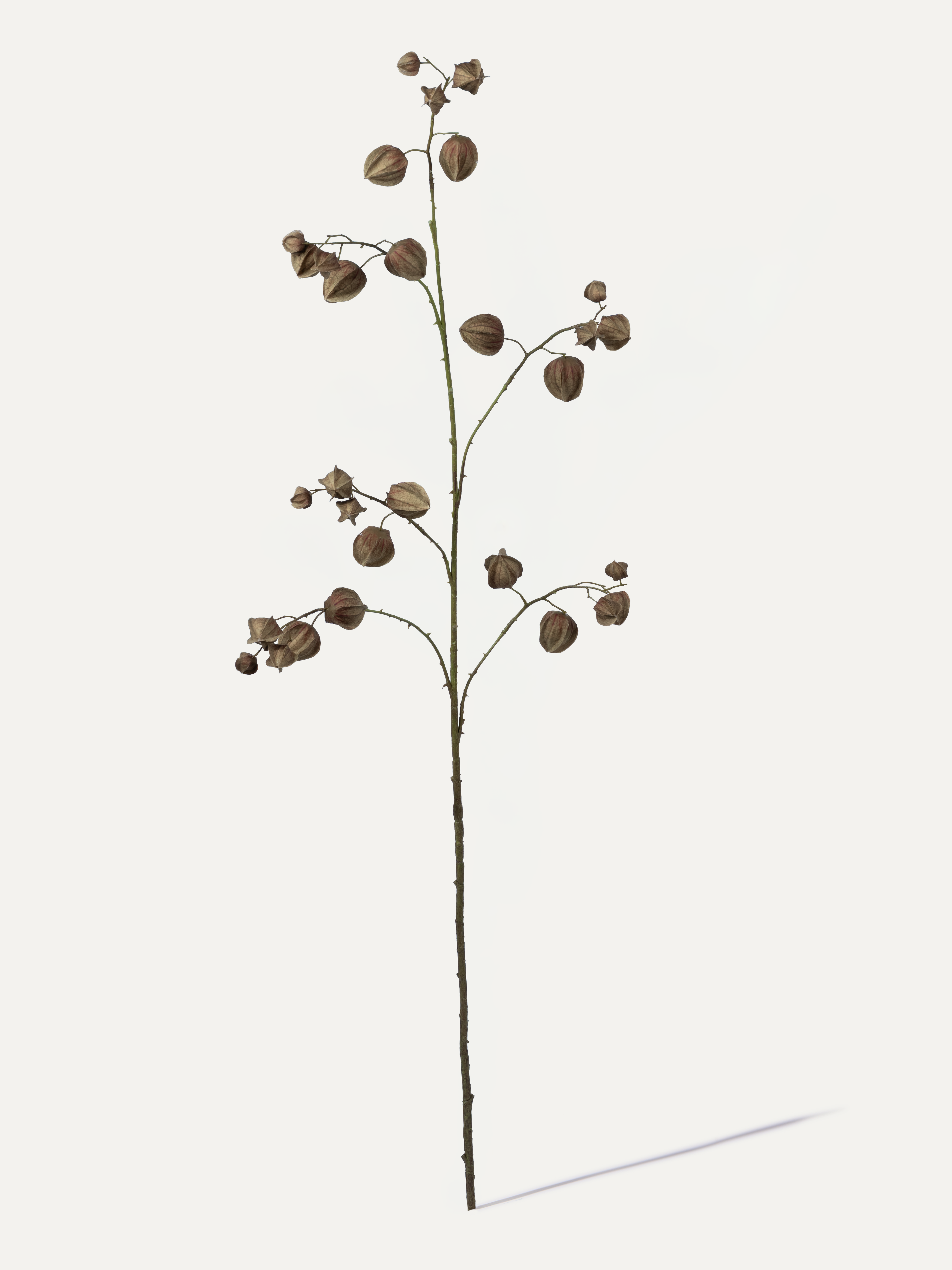 Physalis branch 125 cm 1 pc. - Artificial branch