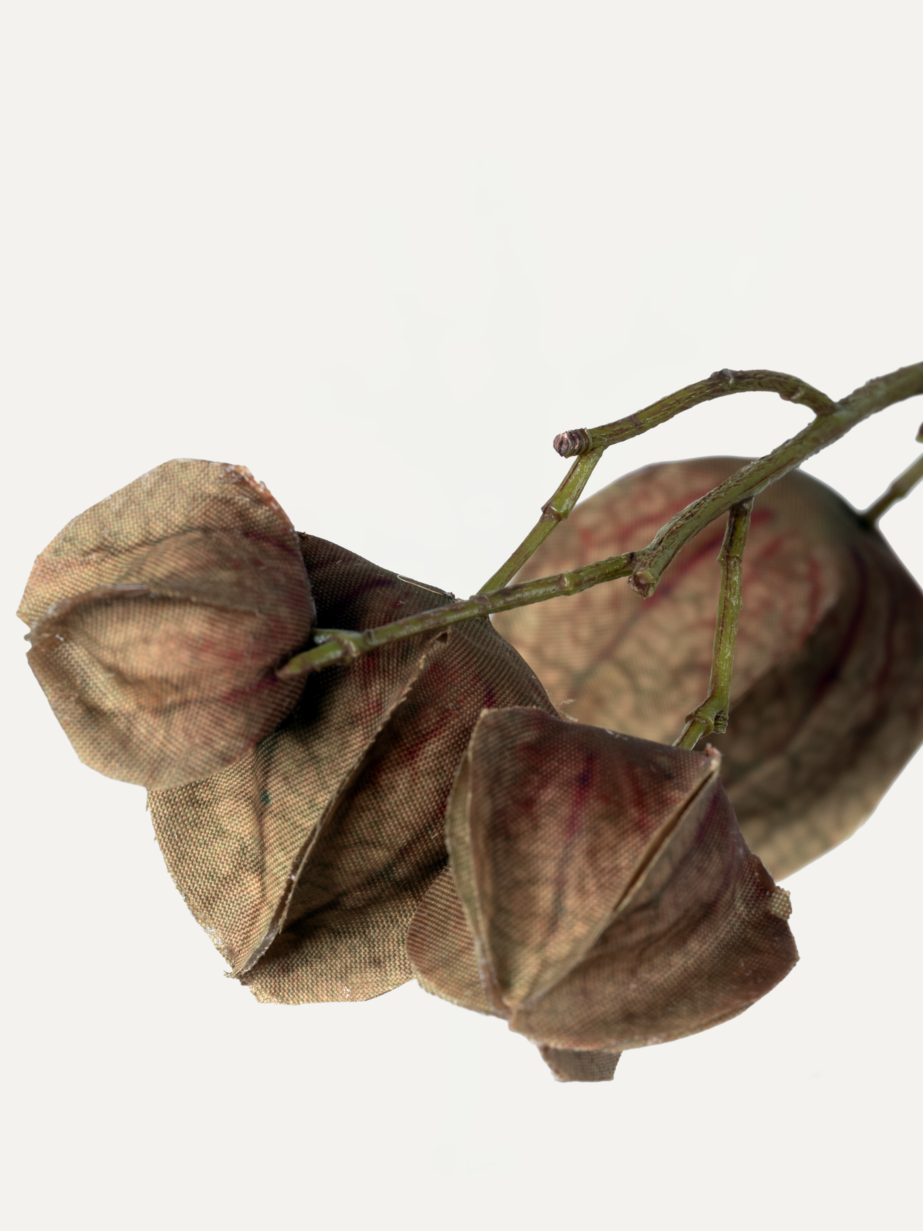 Physalis branch 125 cm 1 pc. - Artificial branch
