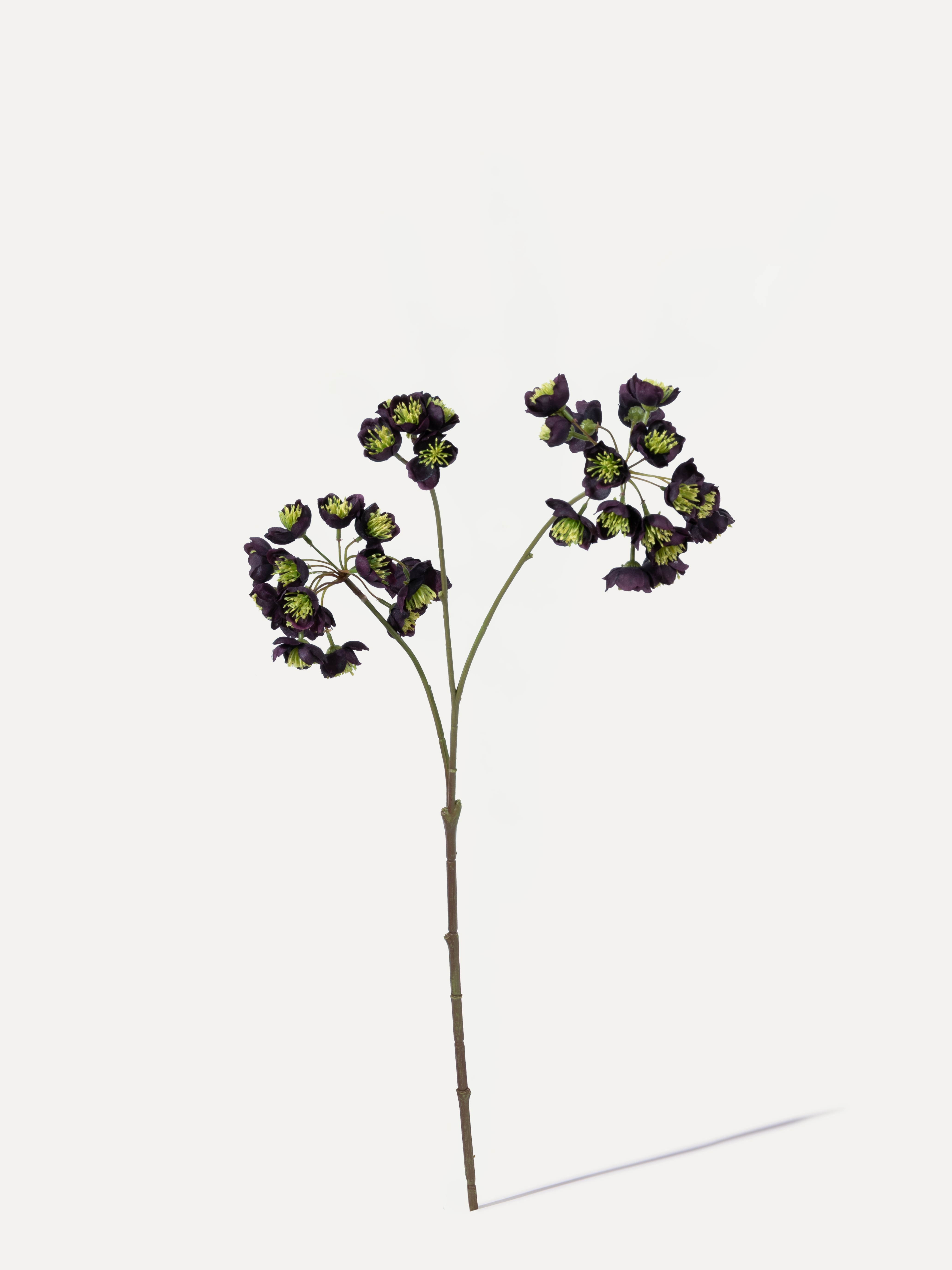 Lenzrose 70 cm 1 Stk. - Kunstblume