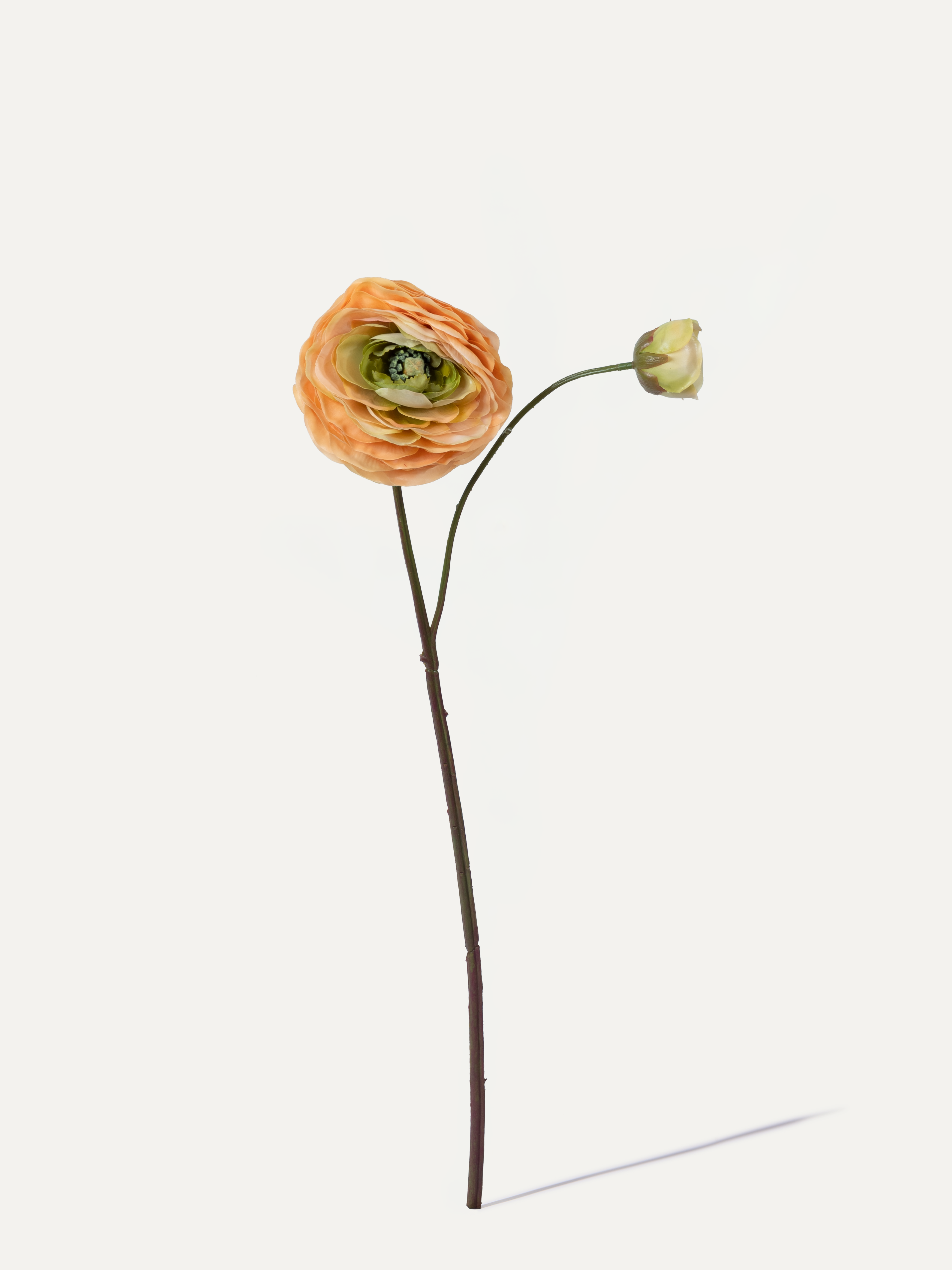 Ranunkel 62 cm 1 Stk. - Kunstblume