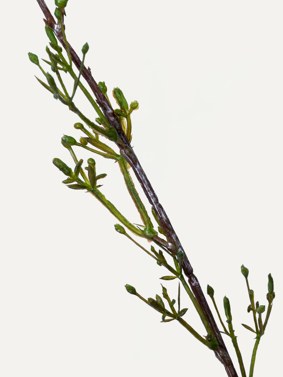 Beerenzweig 109 cm 1 Stk. - Kunstzweig