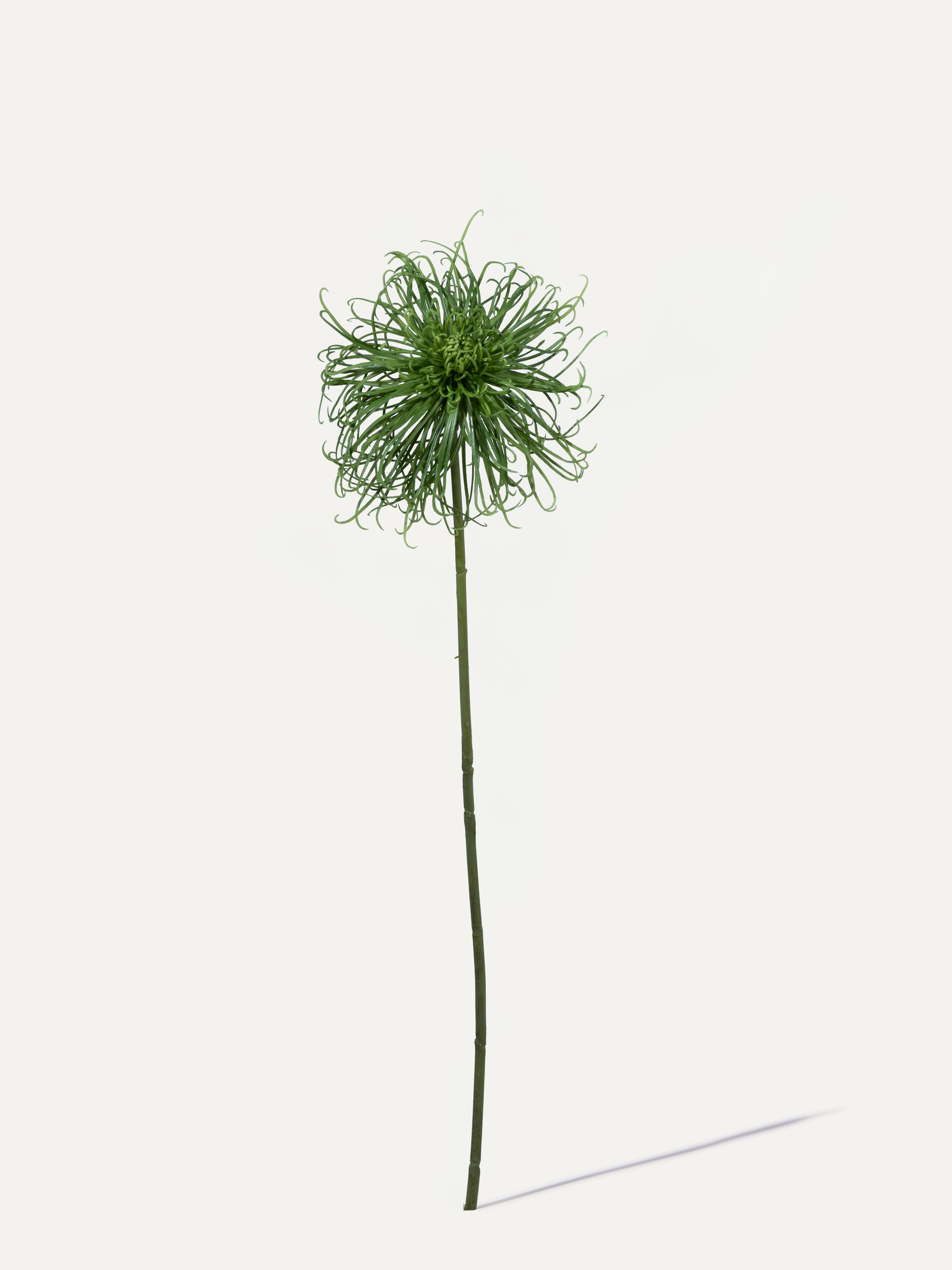 Spider Chrysanthemum 92 cm 1 pc. - Artificial Flower