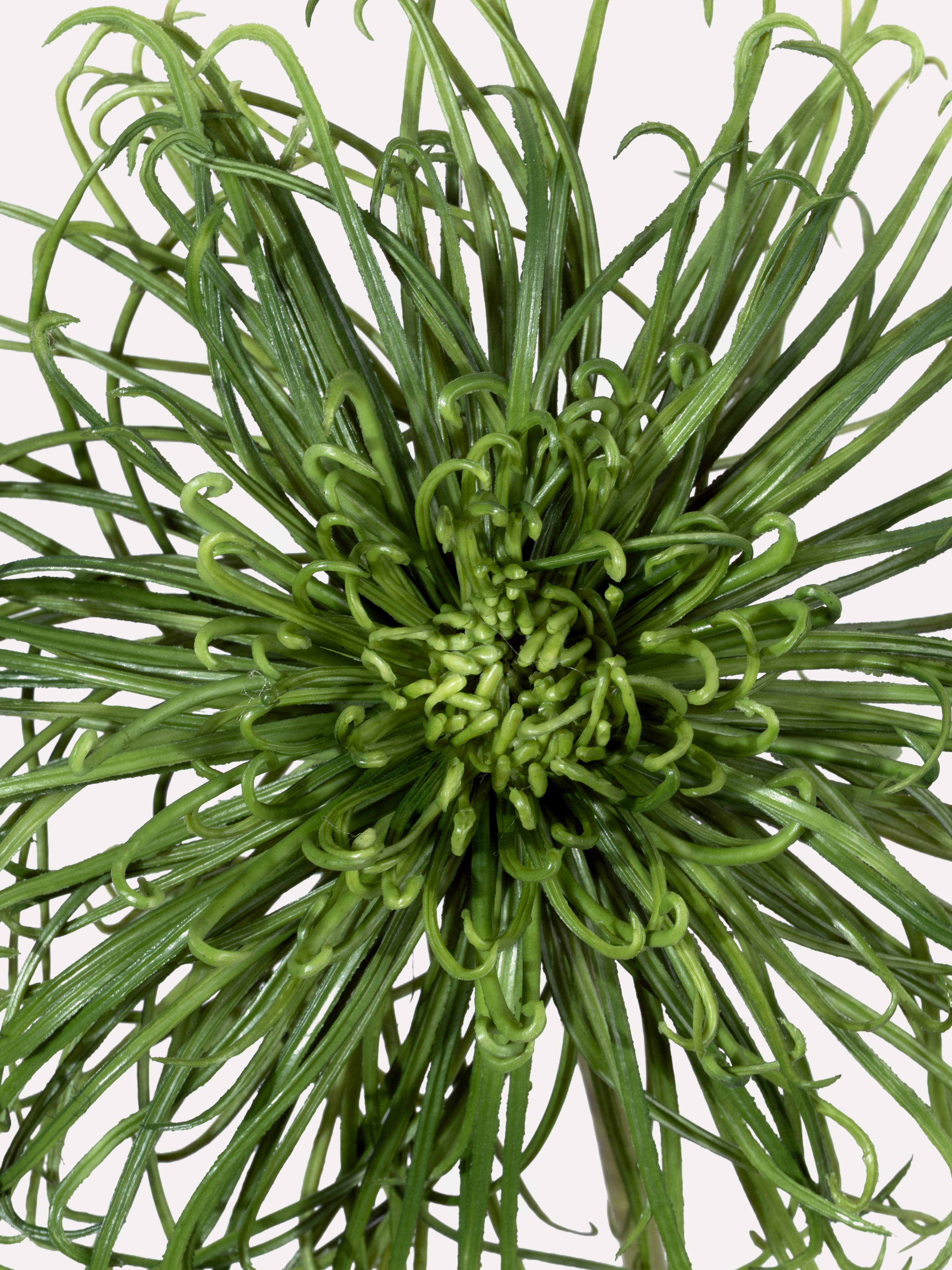 Spider Chrysanthemum 92 cm 1 pc. - Artificial Flower