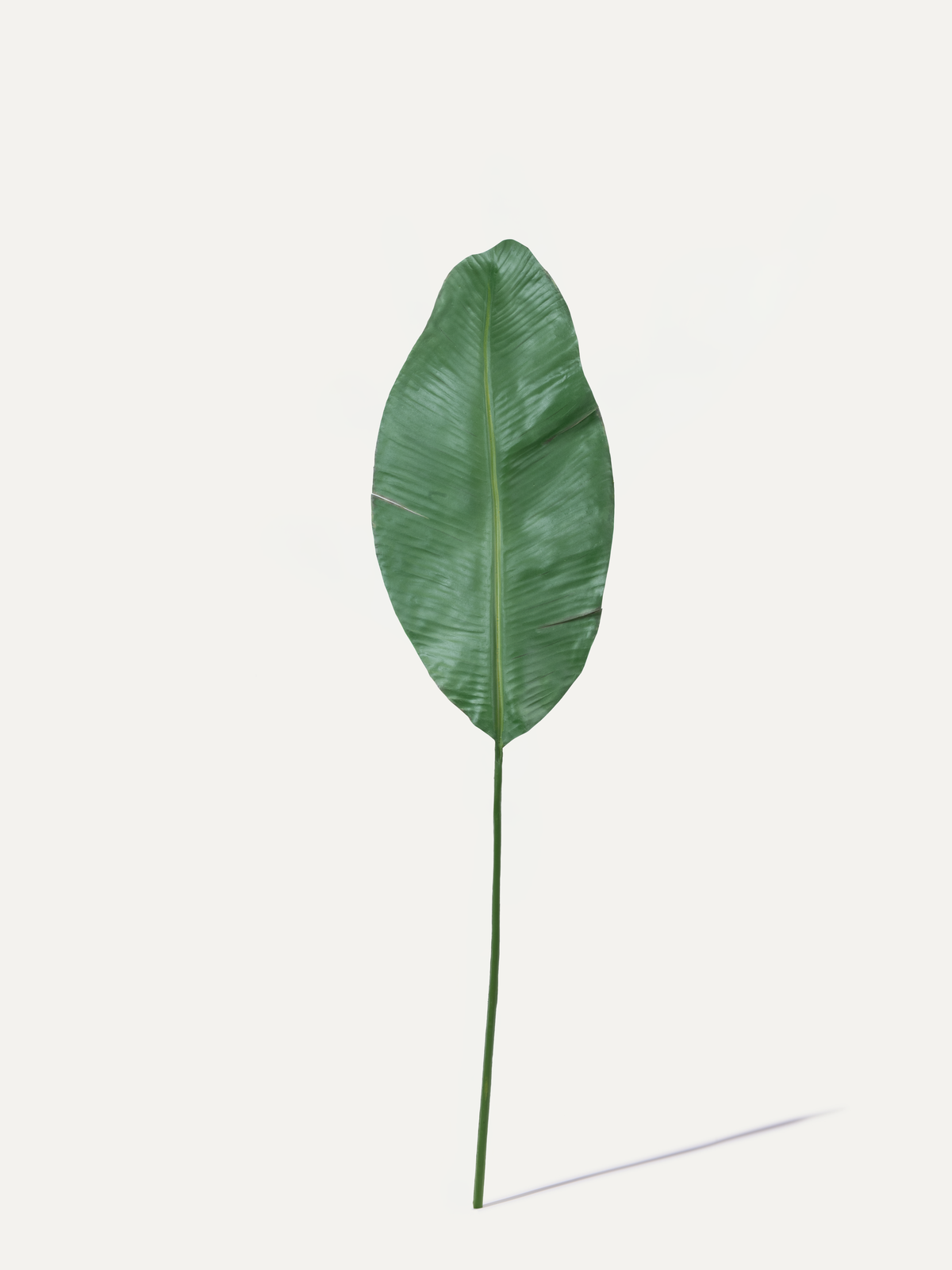 Strelitzia 99 cm 1 Stk. - Kunstzweig