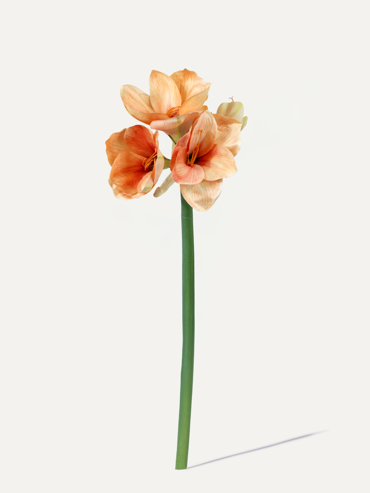 Amaryllis 79 cm 1 pc. - Artificial Flower