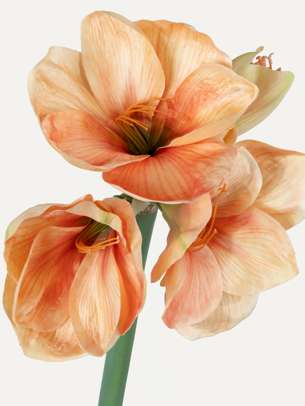 Amaryllis 79 cm 1 pc. - Artificial Flower