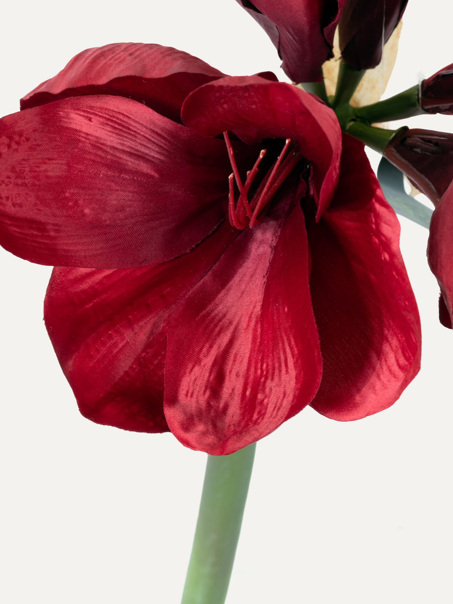 Amaryllis 79 cm 1 pc. - Artificial Flower