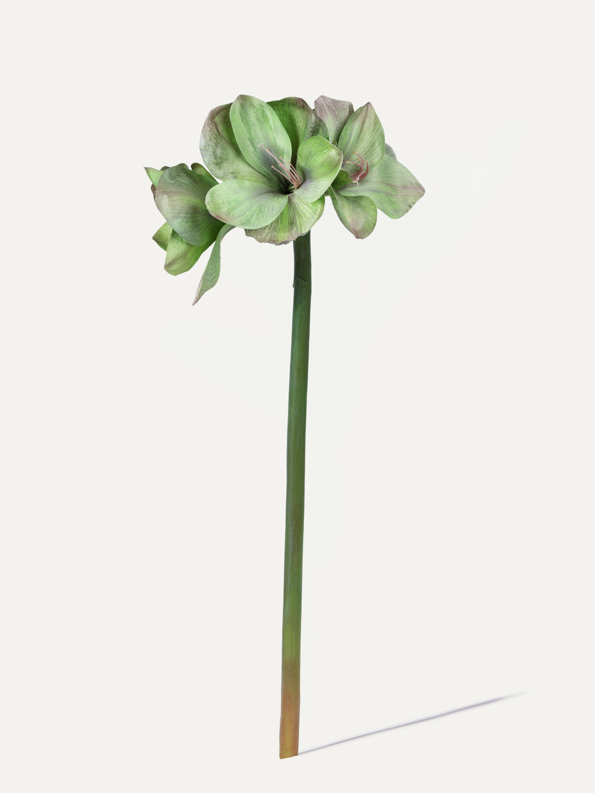 Amaryllis 79 cm 1 pc. - Artificial Flower