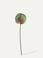 Lotusblatt 93 cm 1 Stk. - Kunstzweig