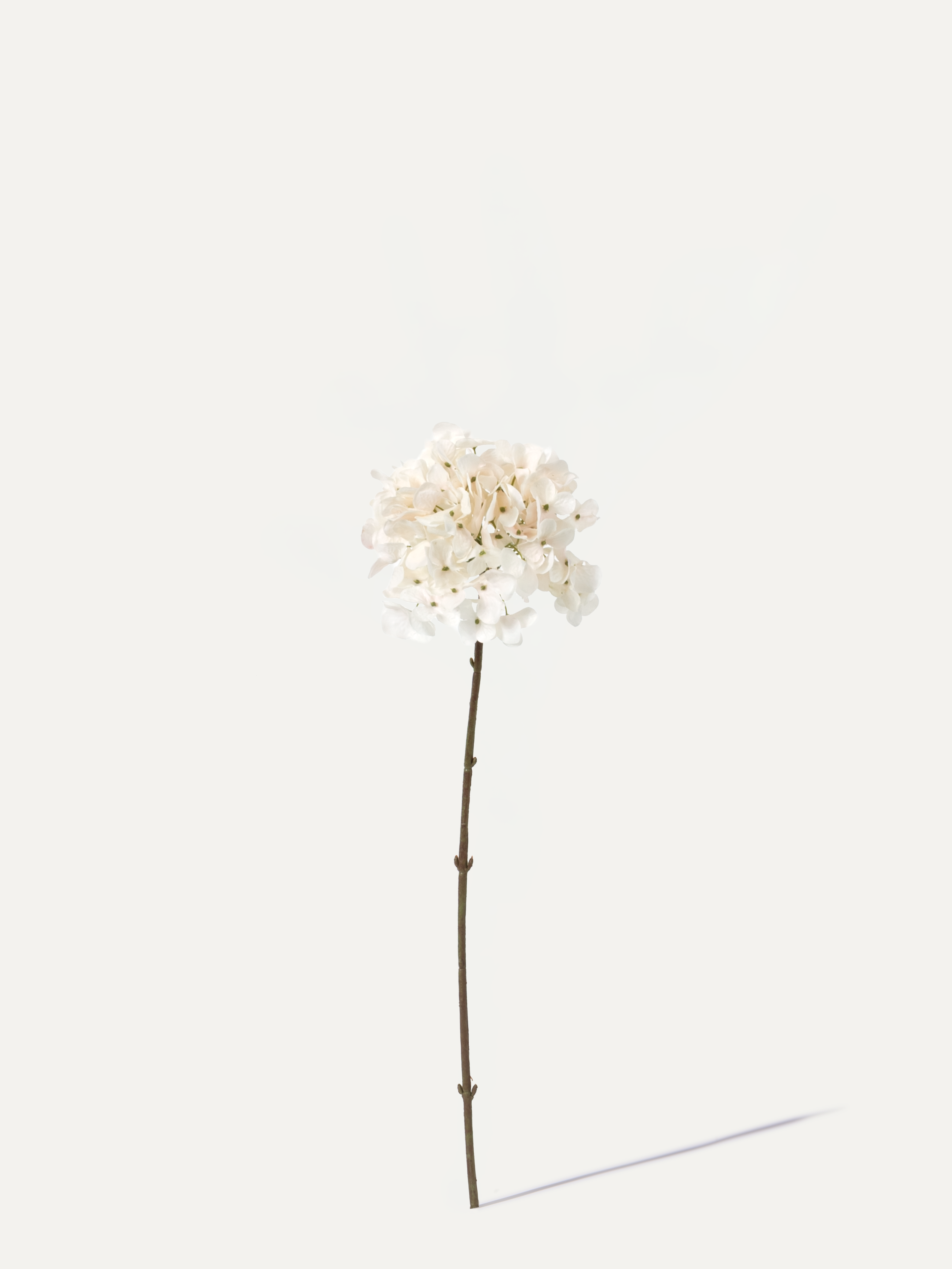 Hortensie 63 cm 1 Stk. - Kunstblume