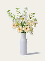 The Snowwhite - Grösse S