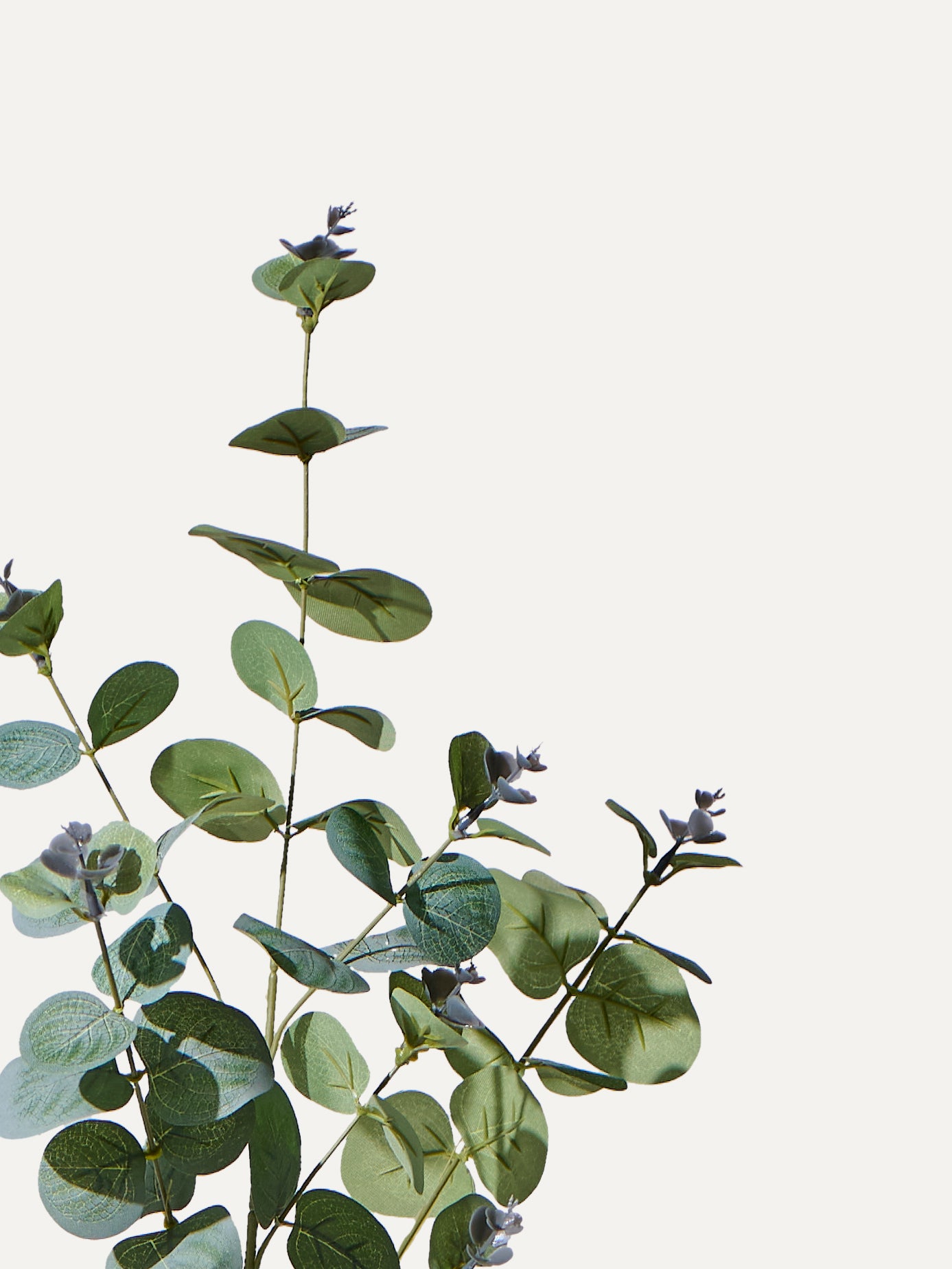 Eukalyptus-Zweig 75 cm 1 Stk. - Kunstzweig